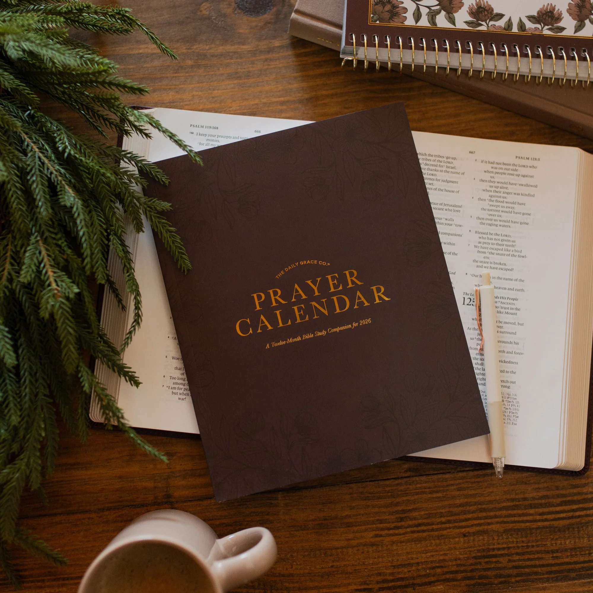 The Daily Grace 2026 Prayer Calendar - Image 10