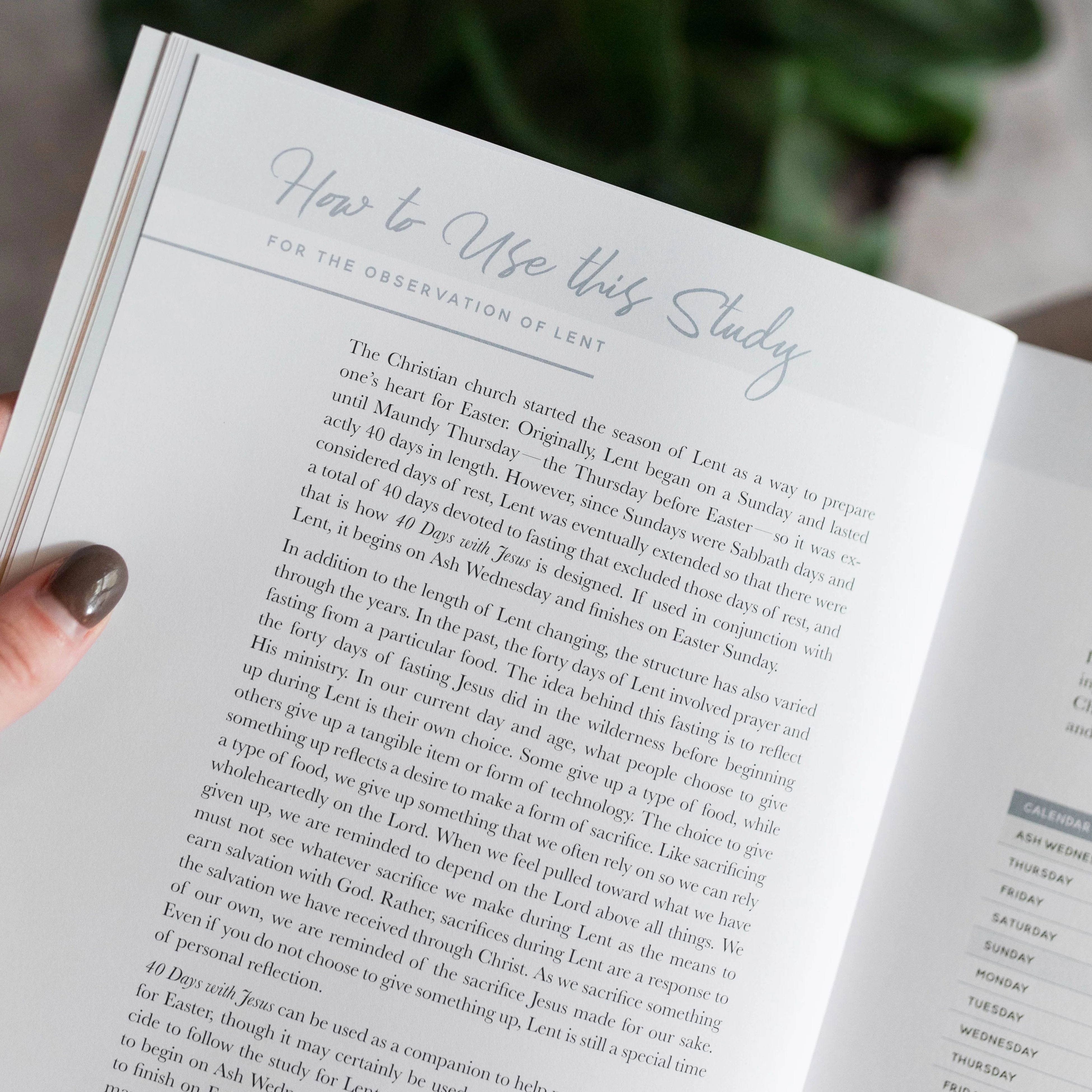 40 Days with Jesus | A Bible Study on the Life of Christ - Image 2