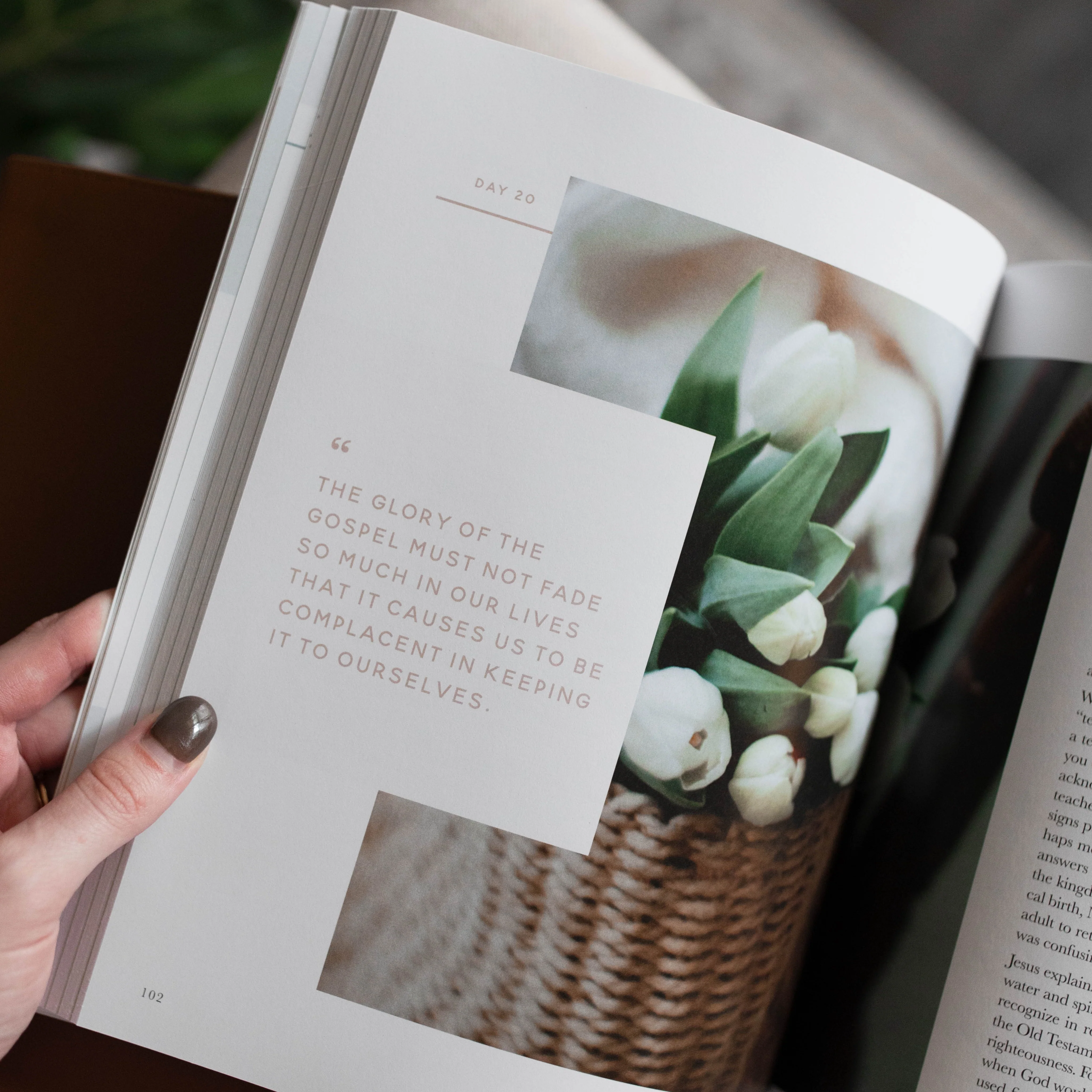 40 Days with Jesus | A Bible Study on the Life of Christ - Image 3