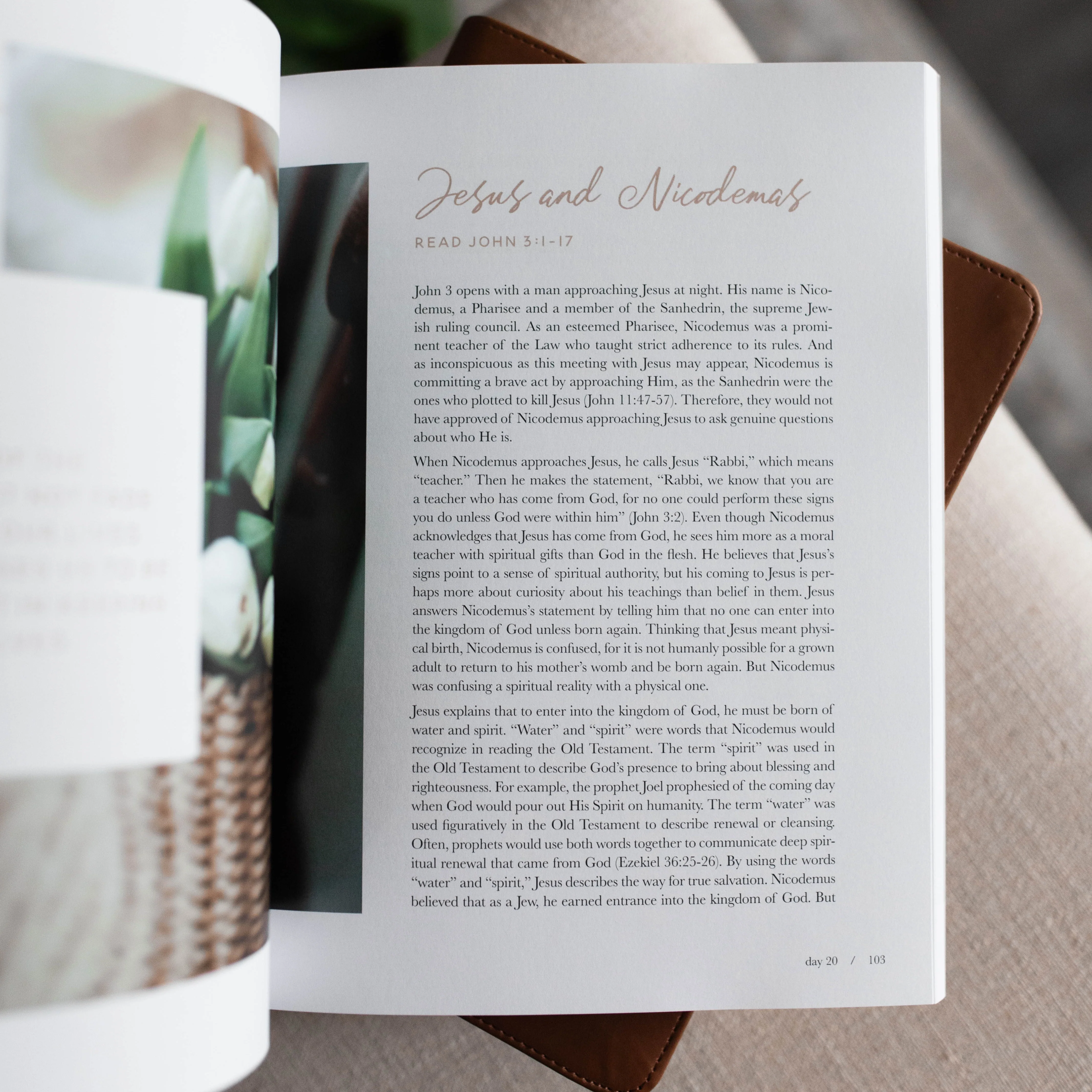 40 Days with Jesus | A Bible Study on the Life of Christ - Image 4