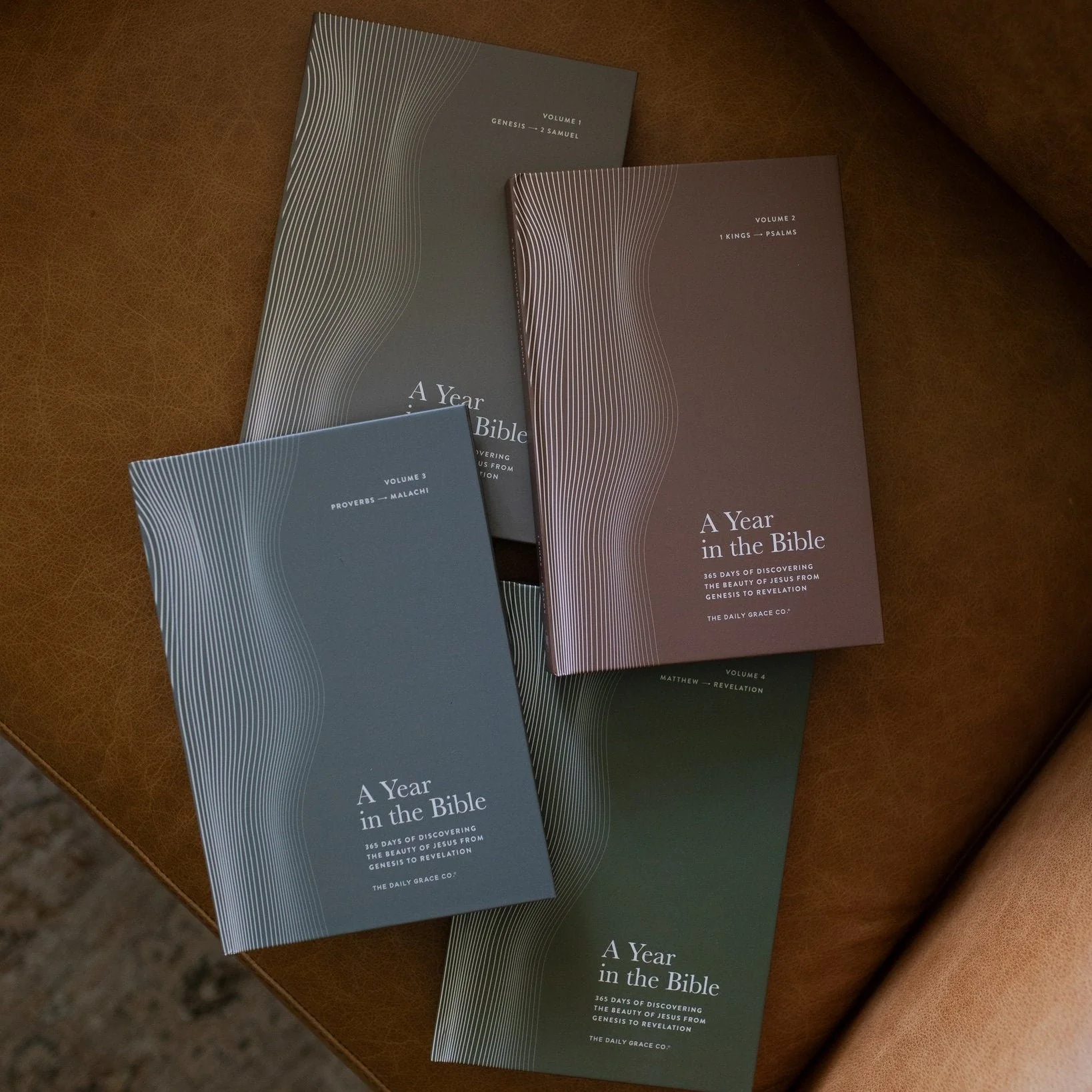 A Year in the Bible Hardcover Bundle - Image 3