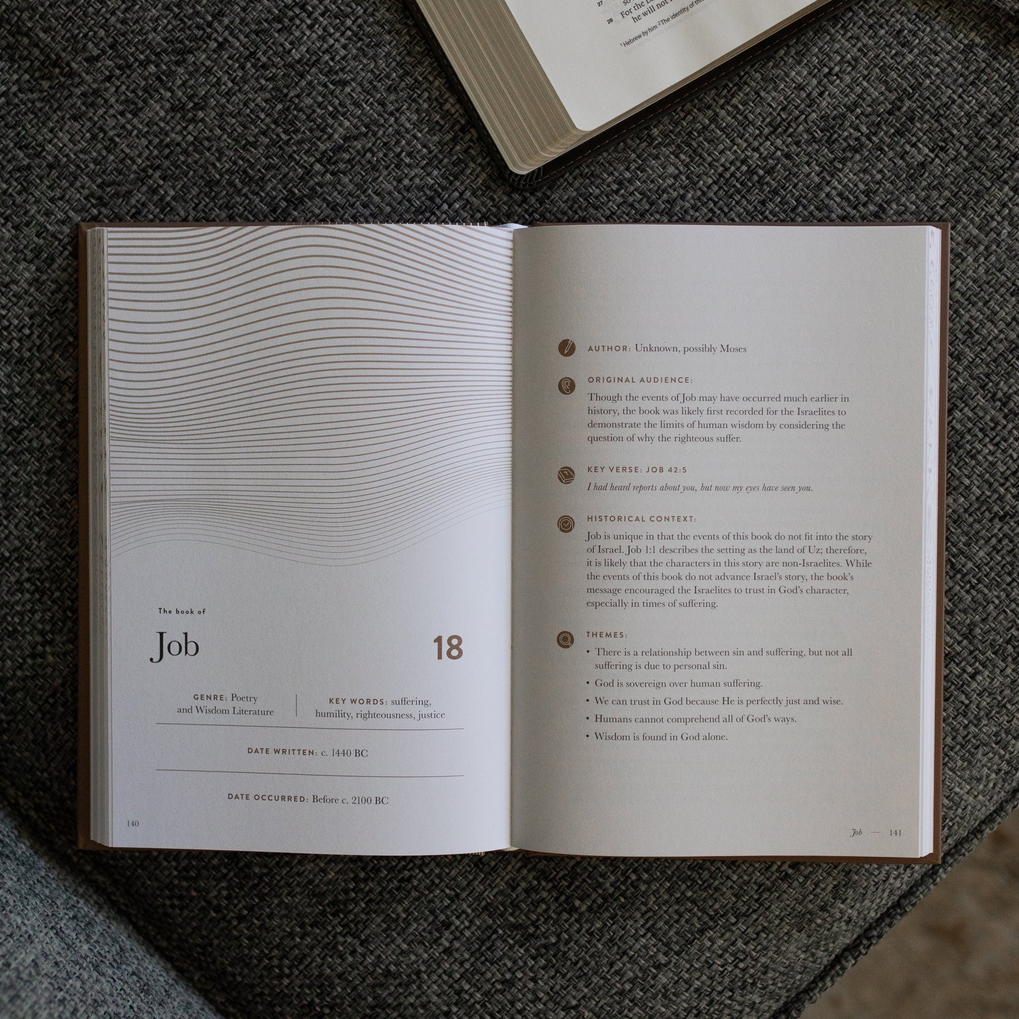 A Year in the Bible | Hardcover Study | Volume 2 - Image 7