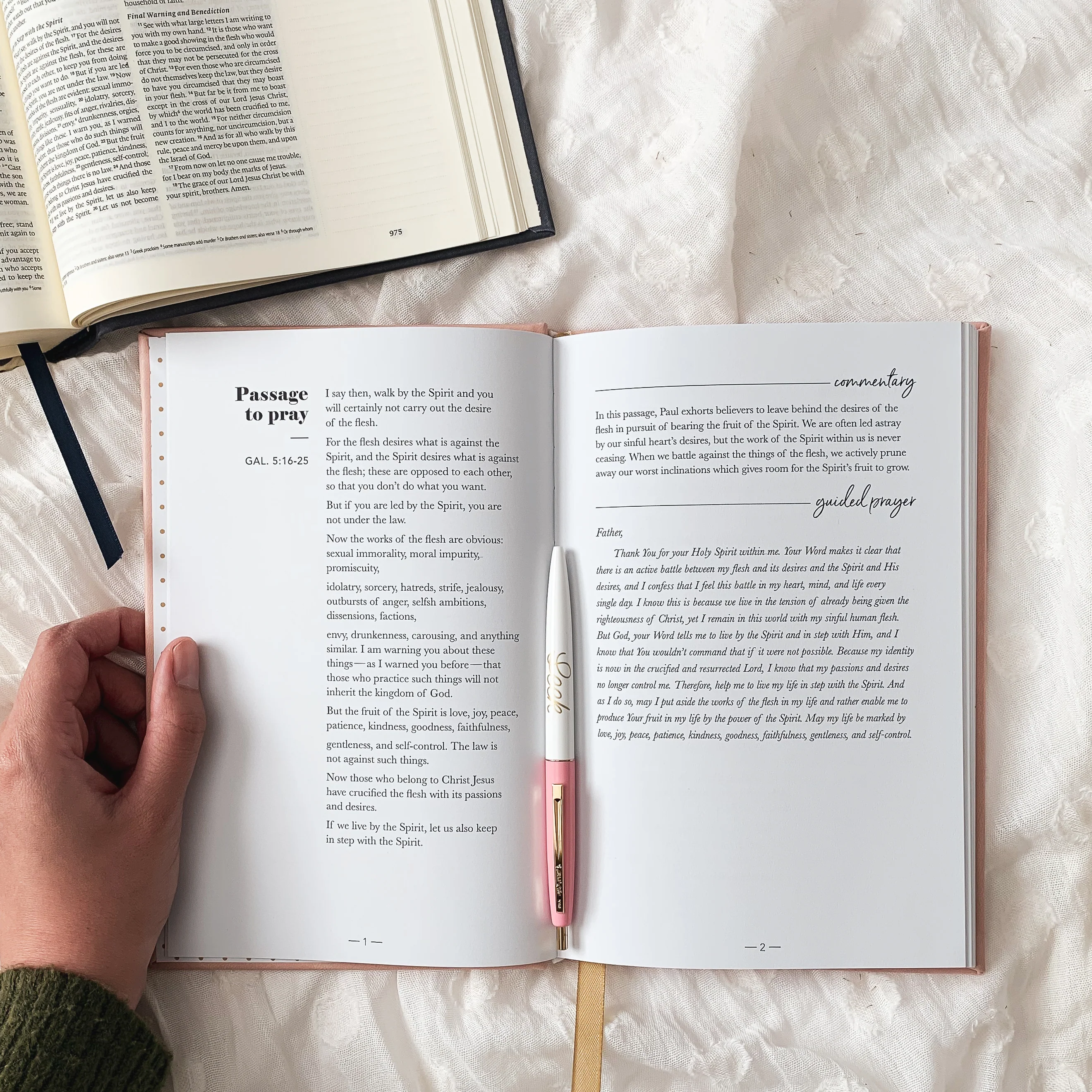 All Things New  - Praying Scripture Journal - Image 4