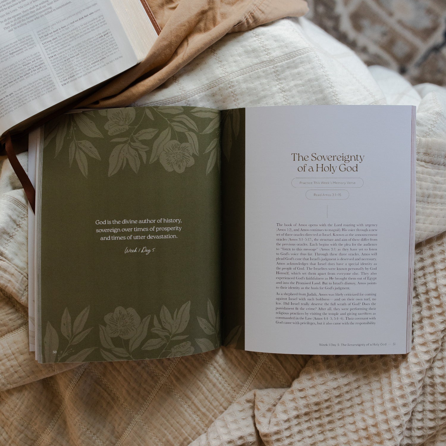 Never Too Far Gone | Amos Bible Study - Image 4