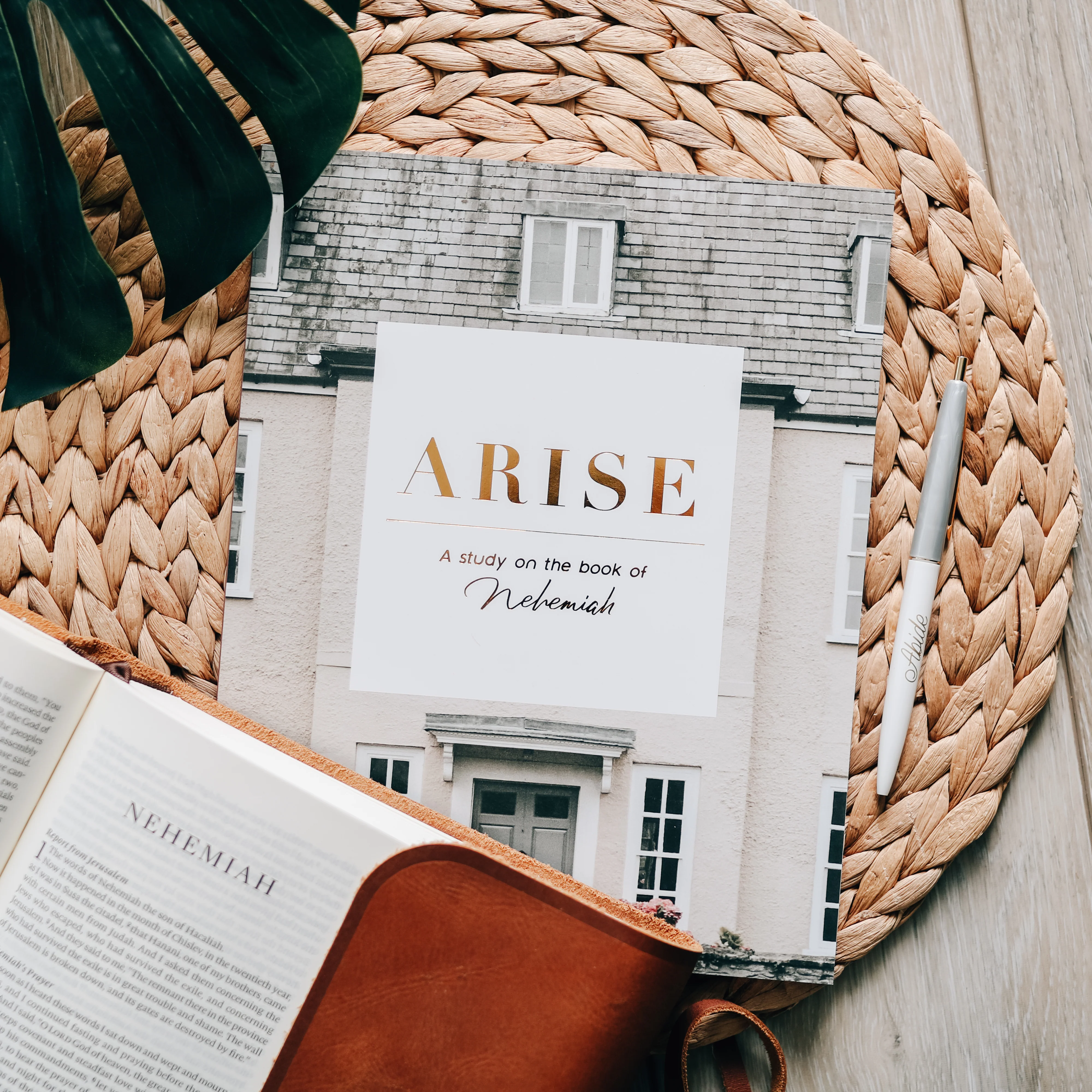 Arise | Nehemiah Bible Study - Image 2