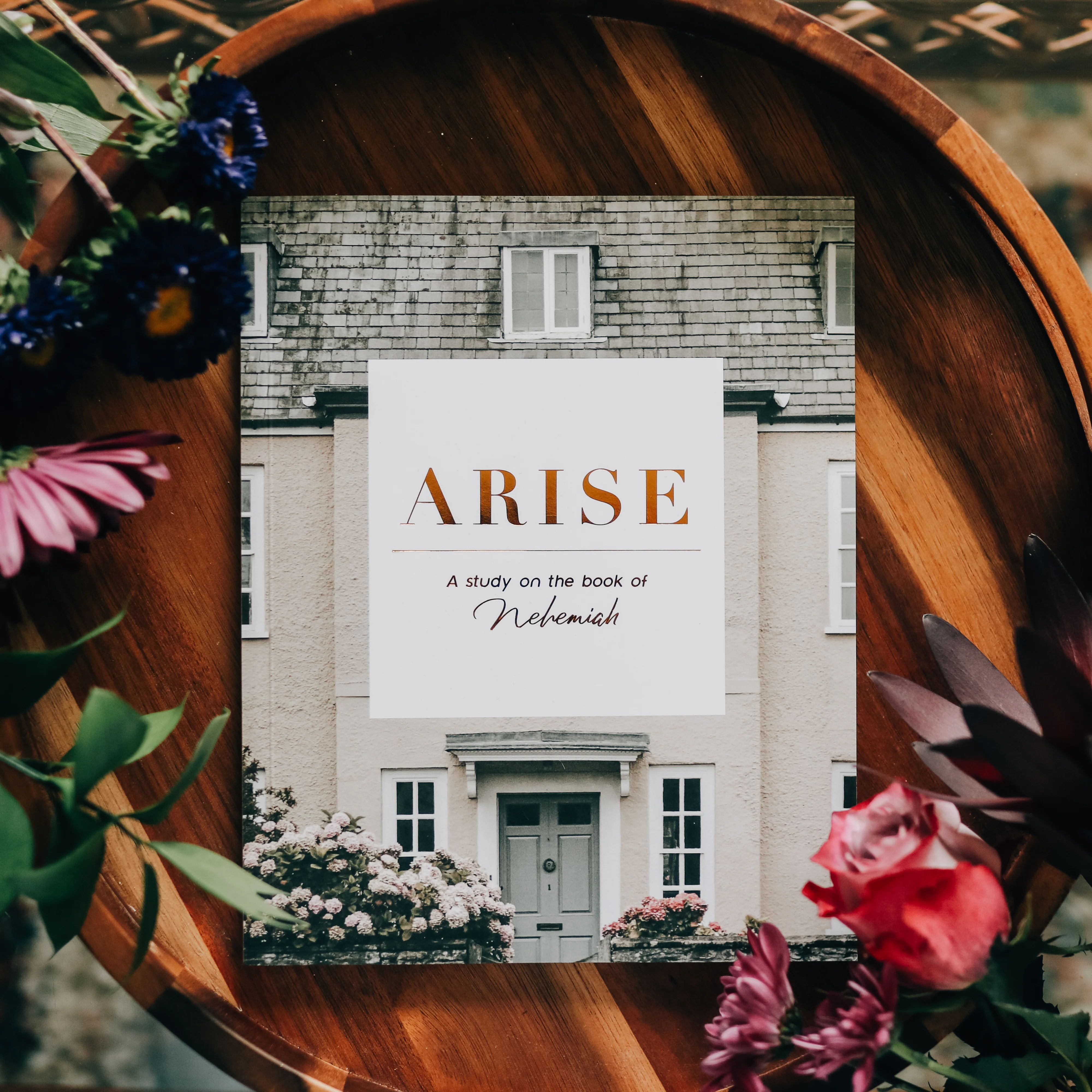 Arise | Nehemiah Bible Study - Image 5