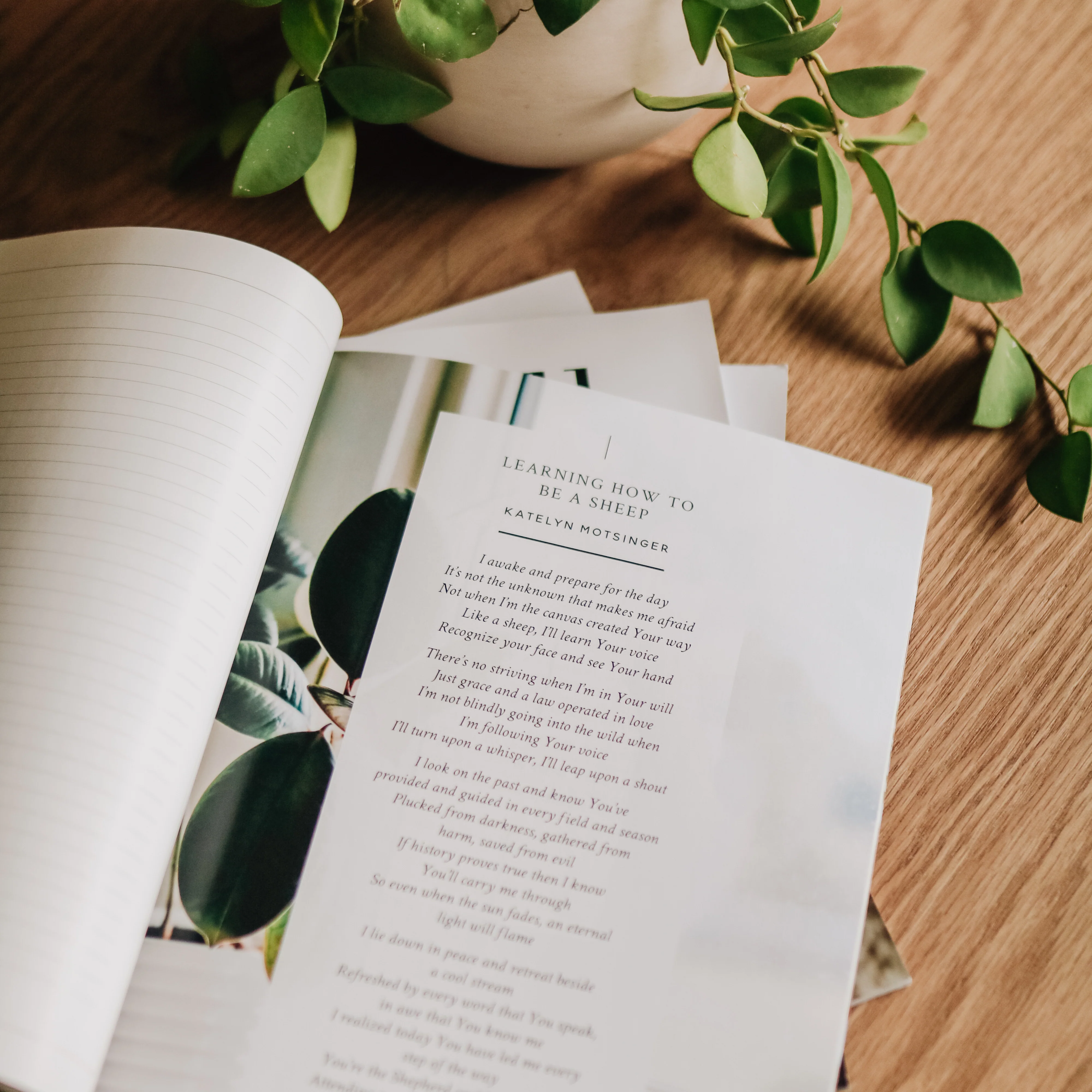 Be Still Magazine | Issue 26 - Image 4