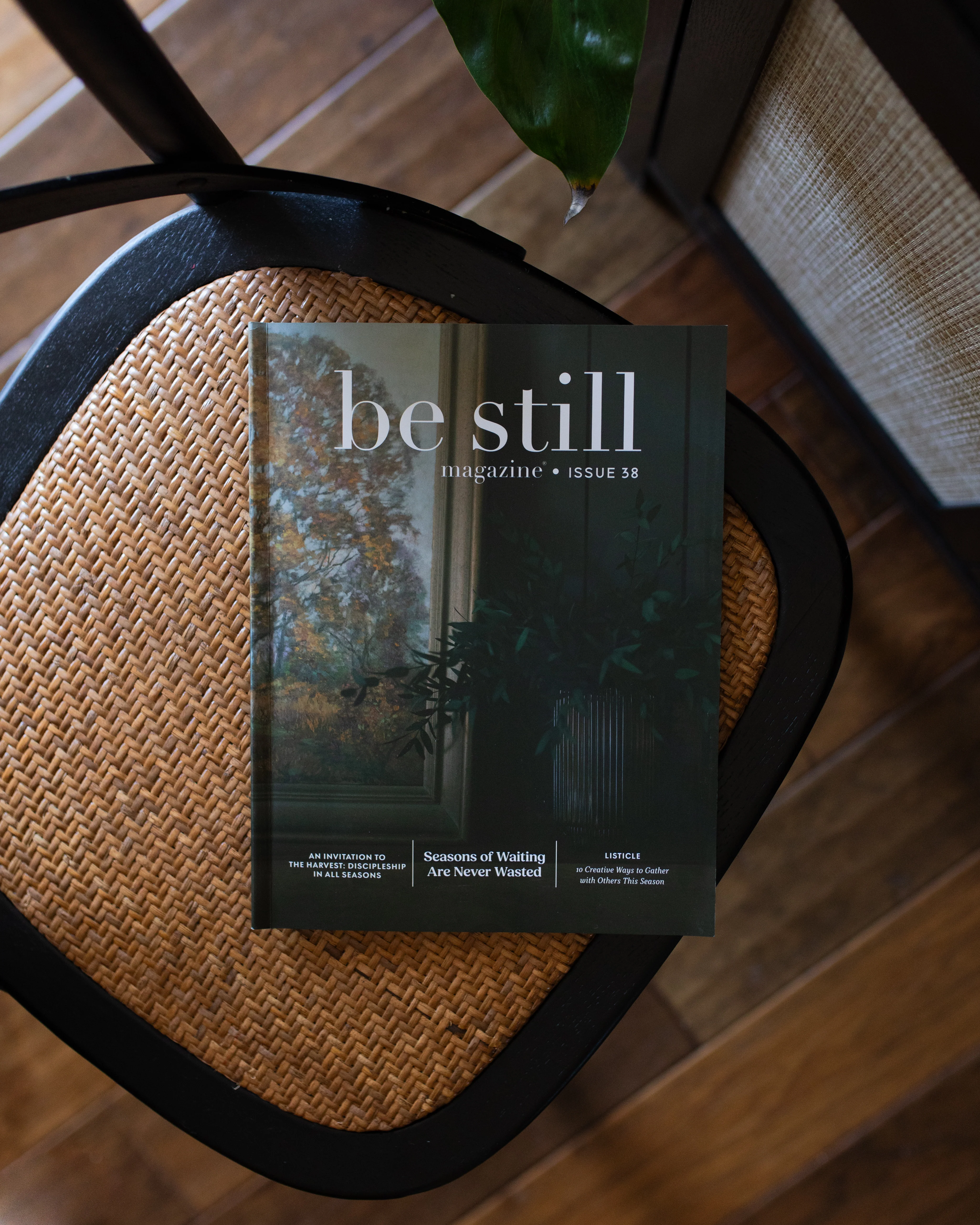 Be Still Magazine | Issue 38 - Image 9