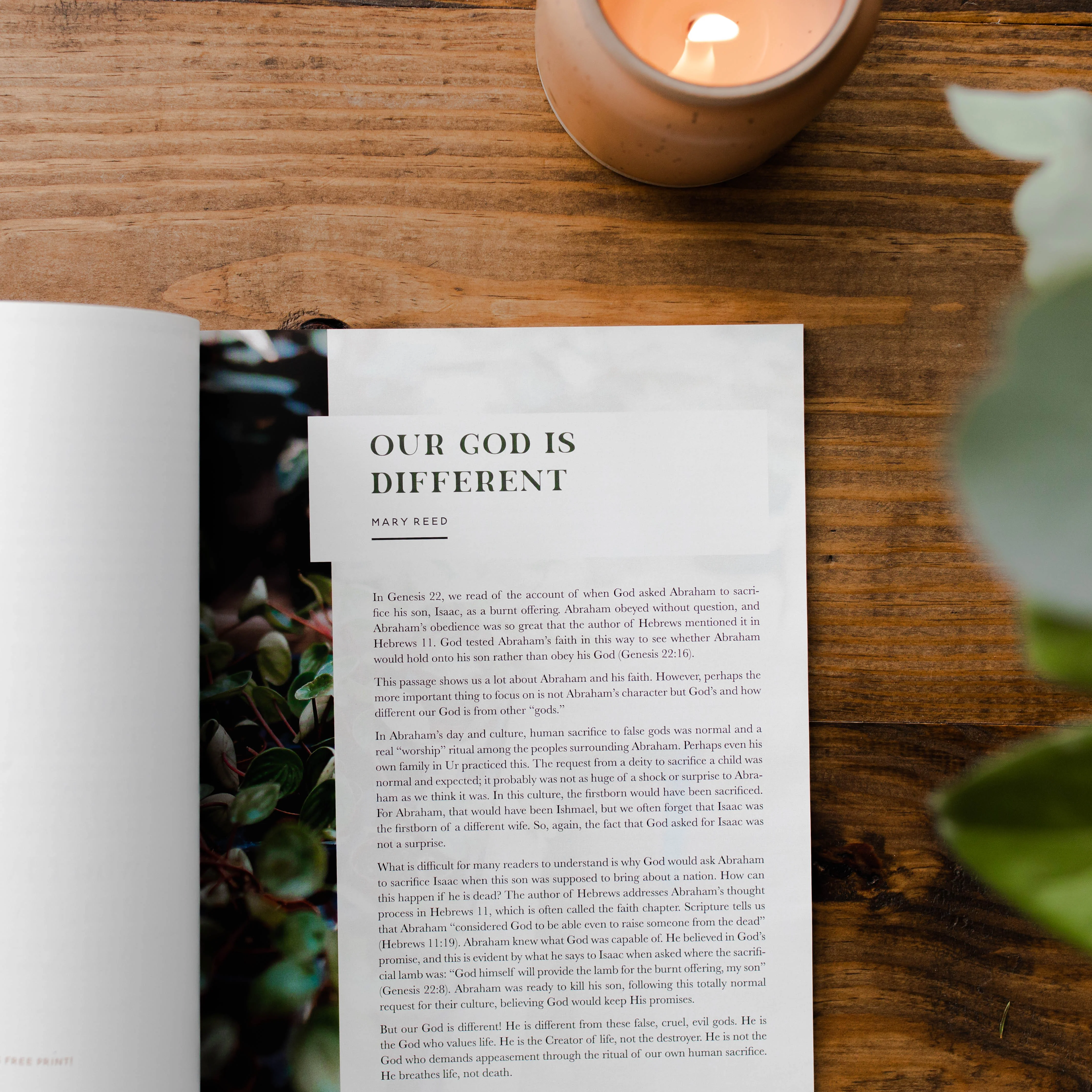 Be Still Magazine Subscription - Image 3