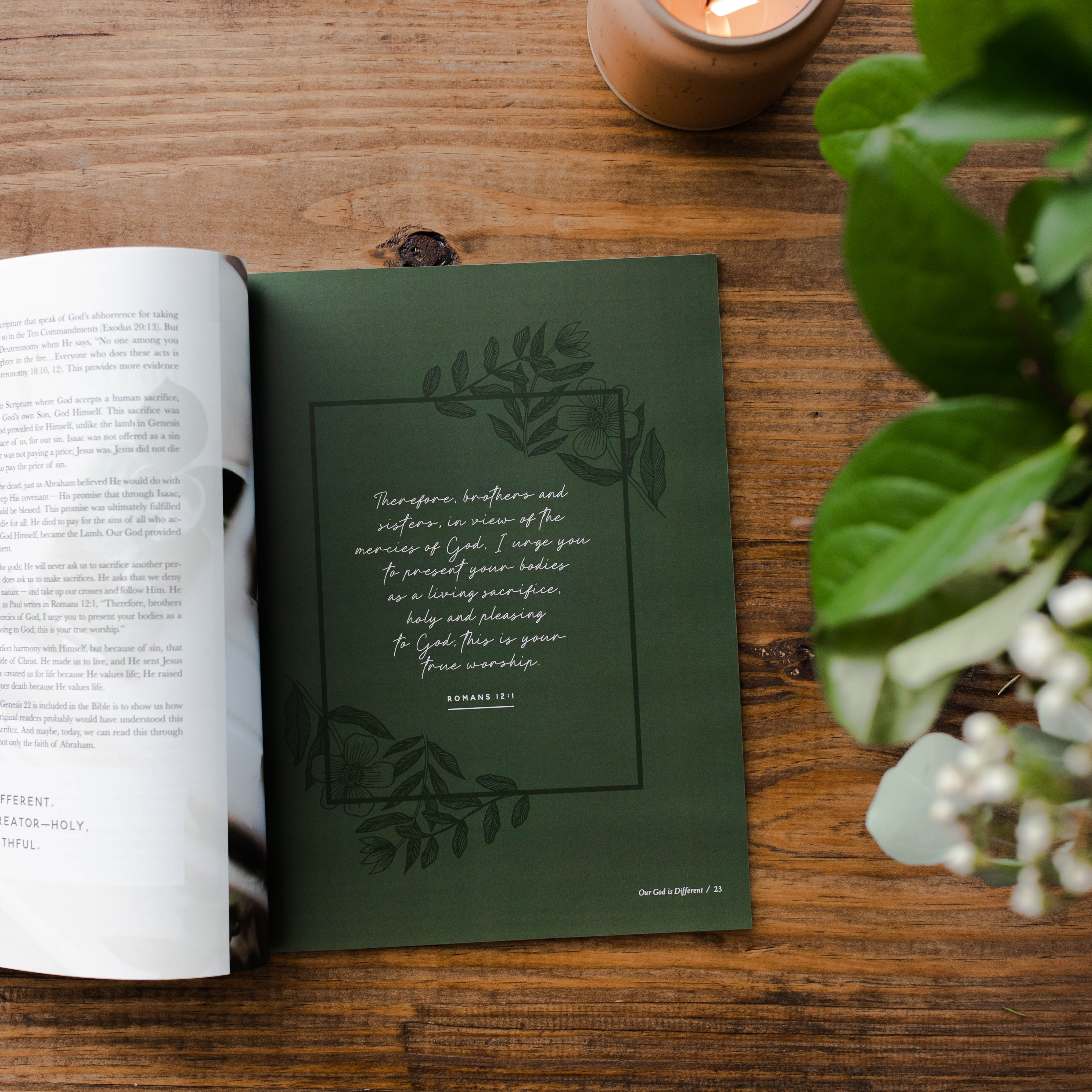 Be Still Magazine Subscription - Image 4