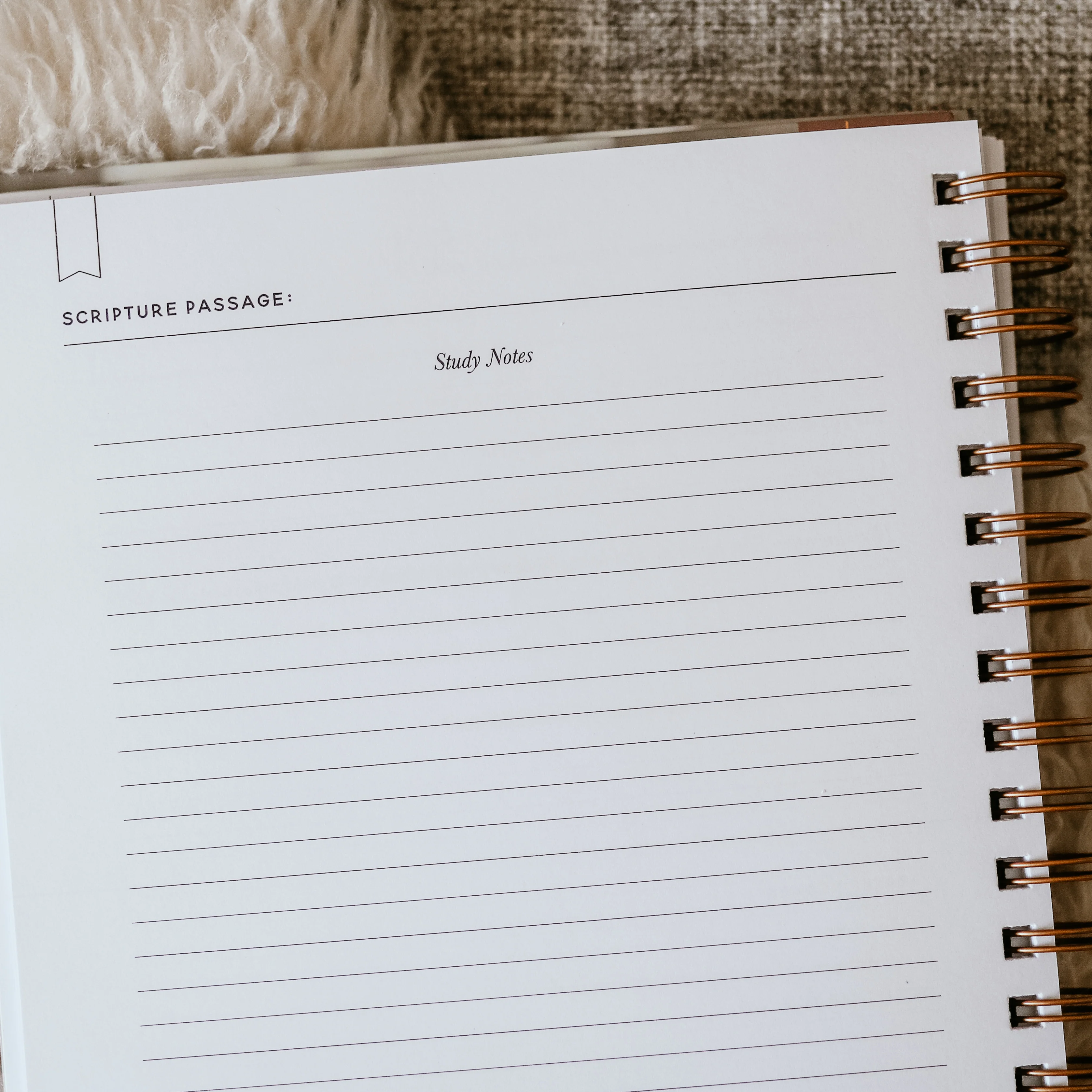 Better Together Journal - Image 4