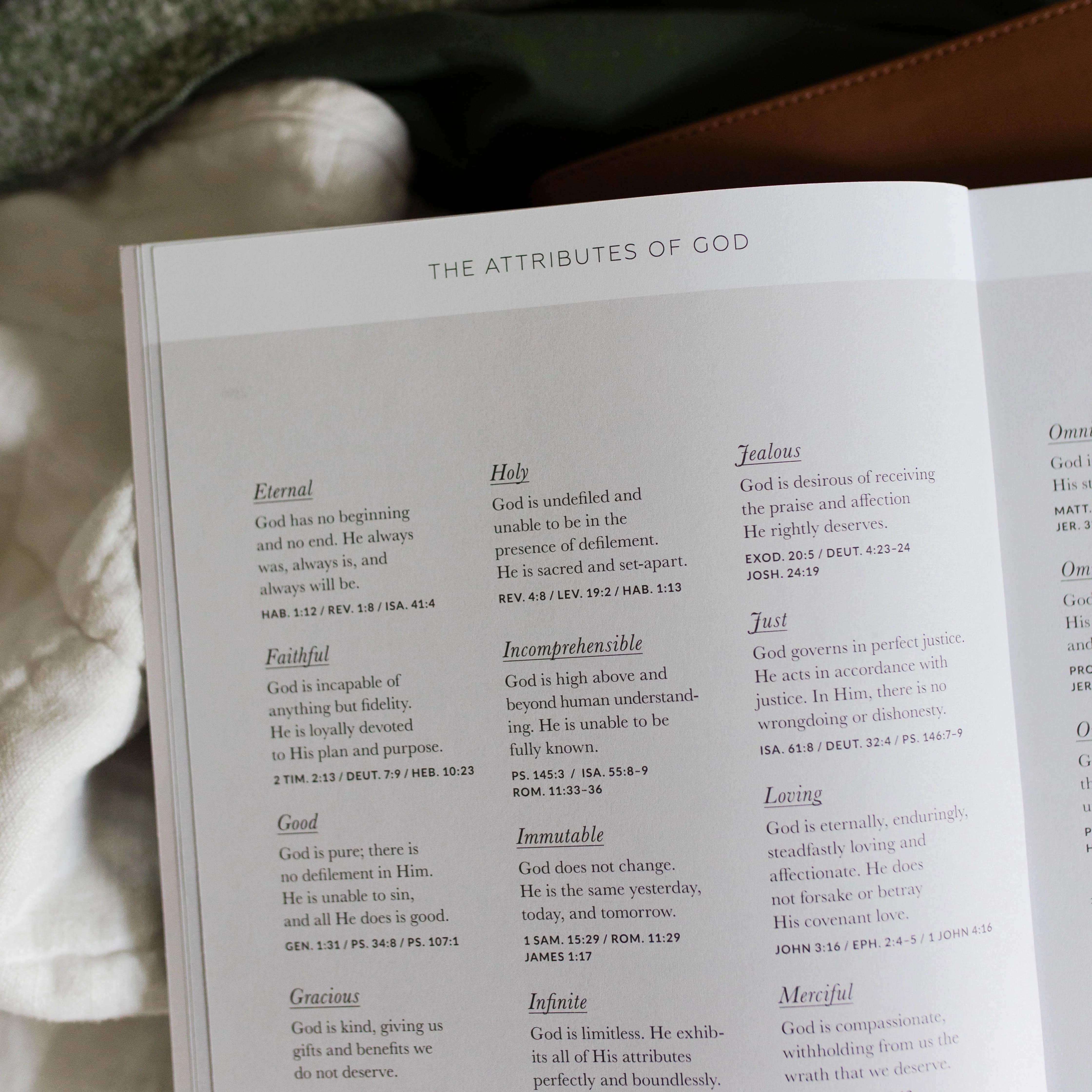 Between Grief and Glory | Lamentations Bible Study - Image 4