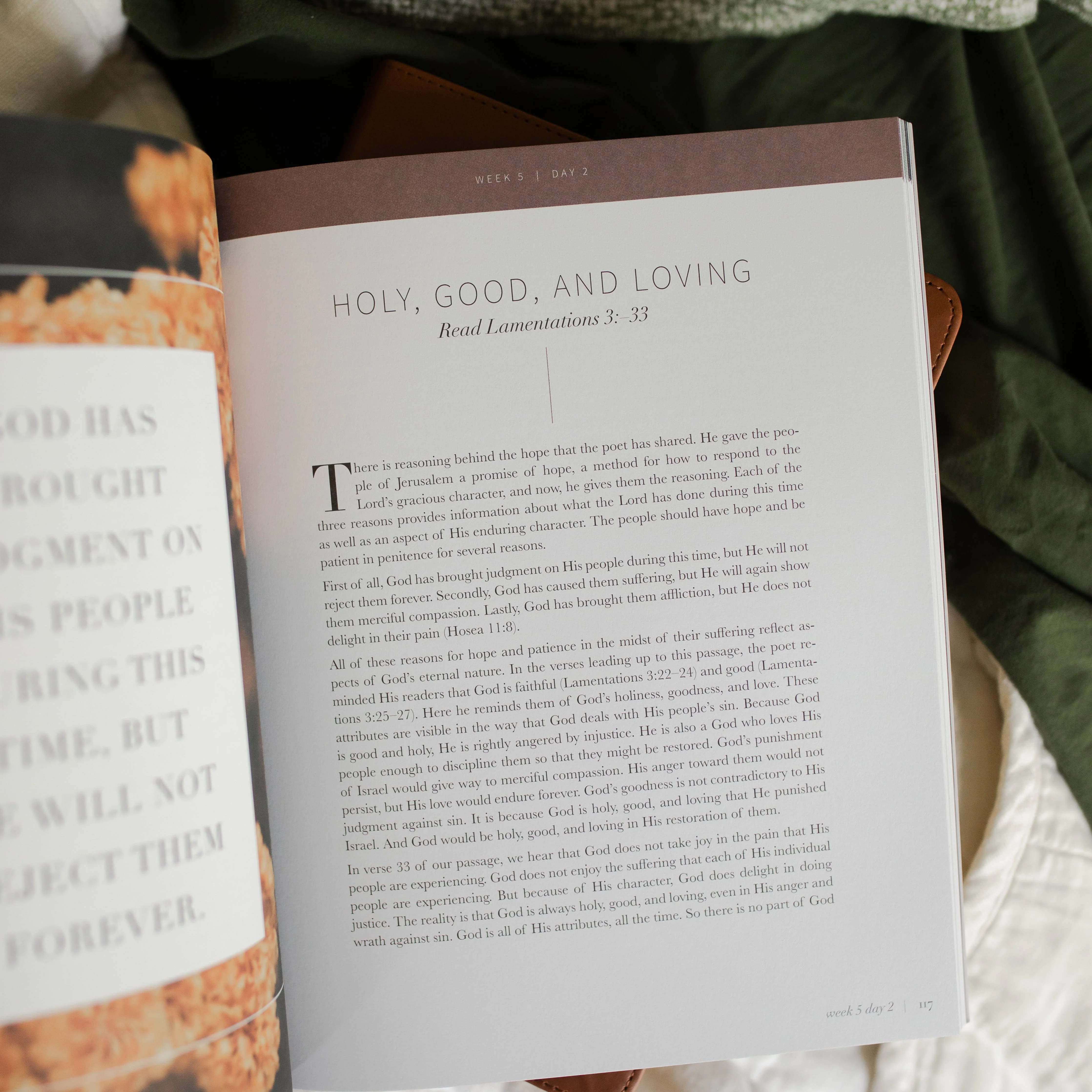 Between Grief and Glory | Lamentations Bible Study - Image 7