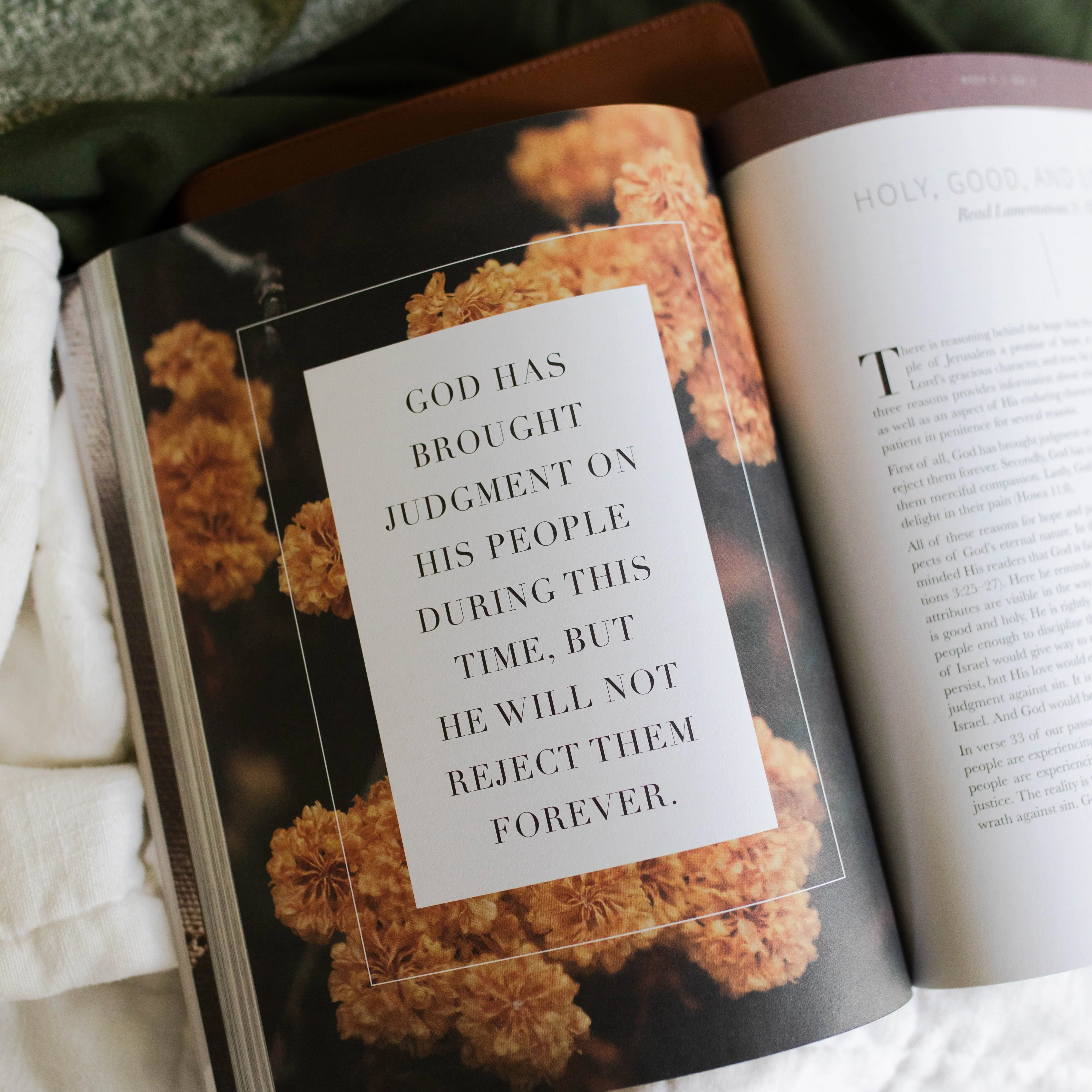 Between Grief and Glory | Lamentations Bible Study - Image 8
