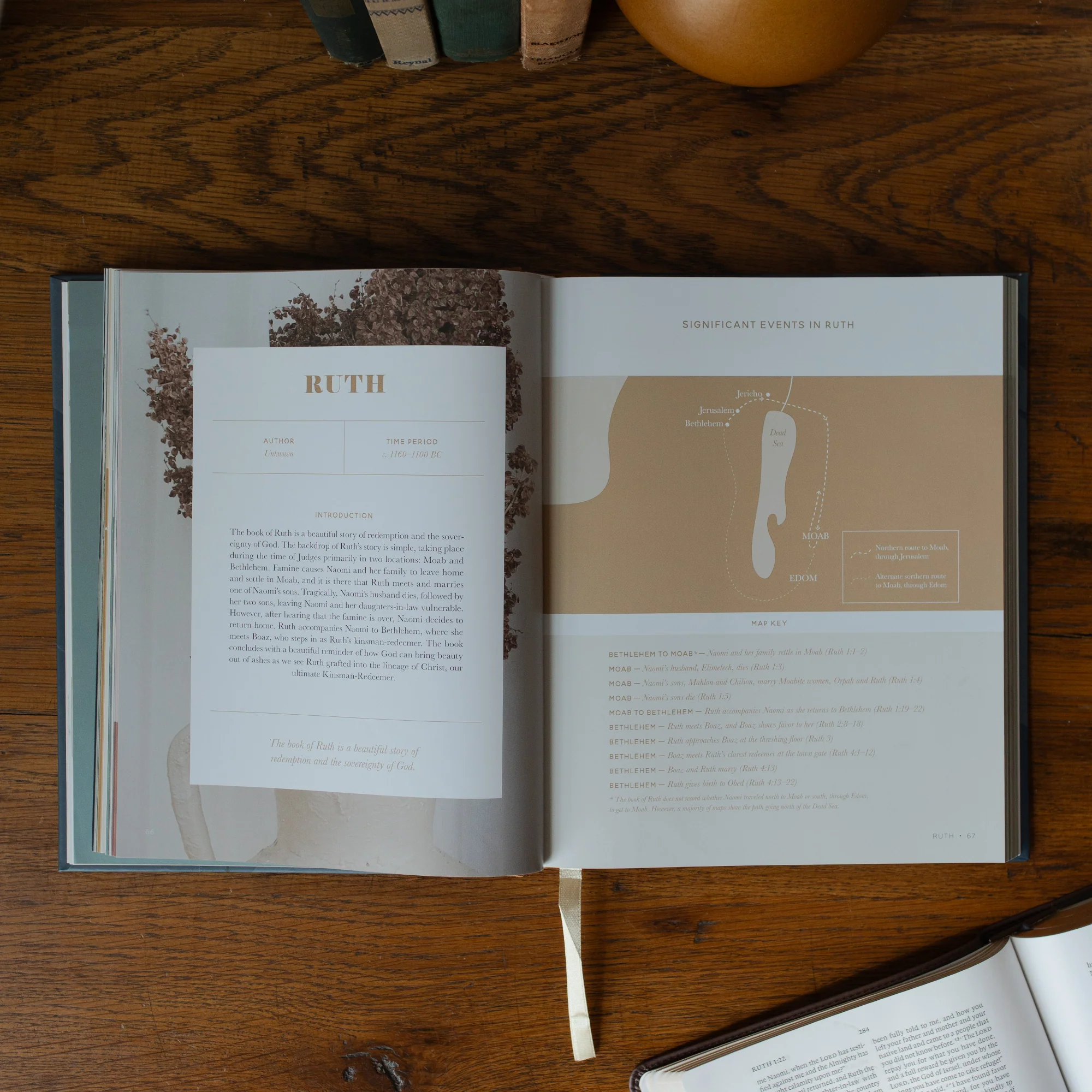 Bible Maps Handbook - Image 3