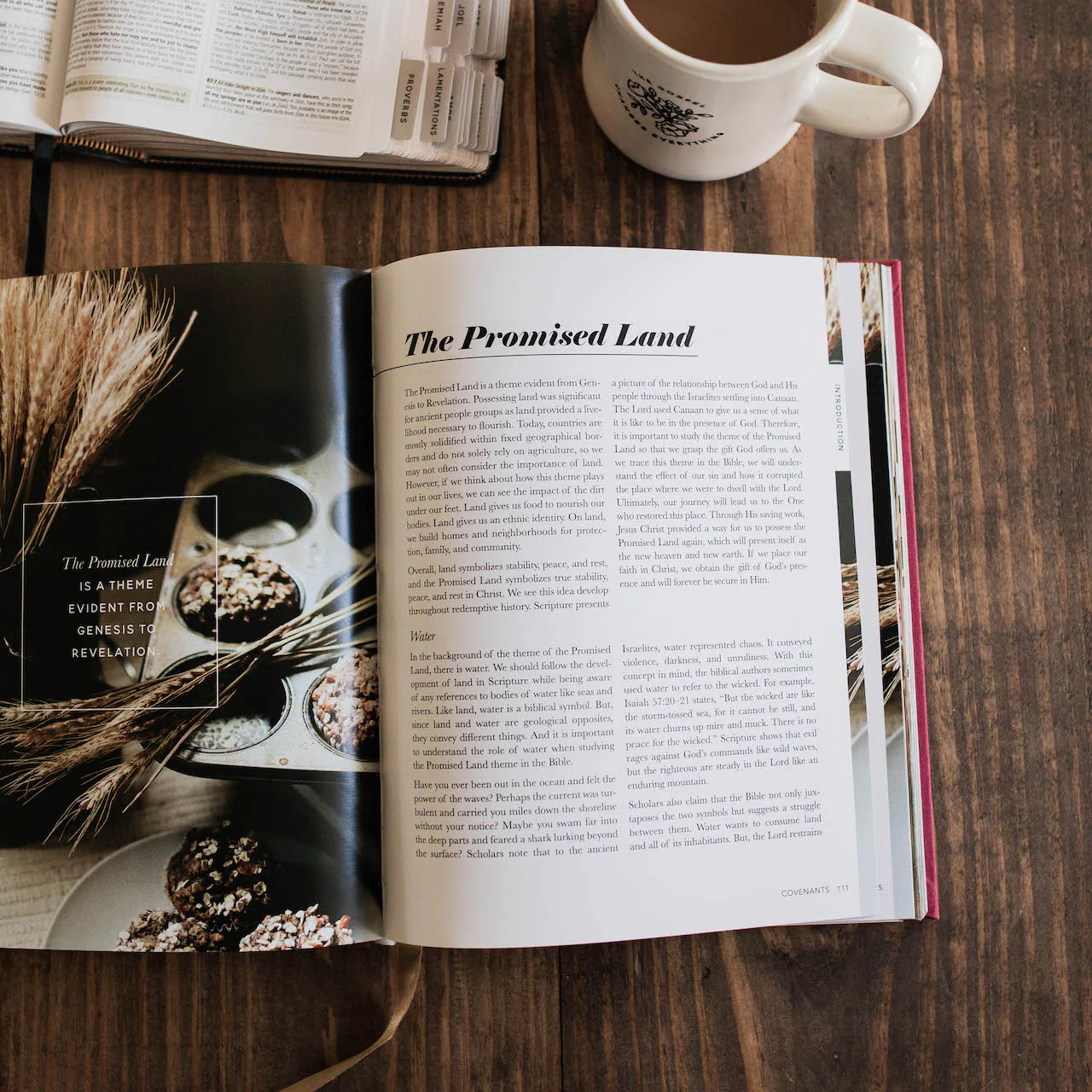 The Bible Themes Handbook - Image 5