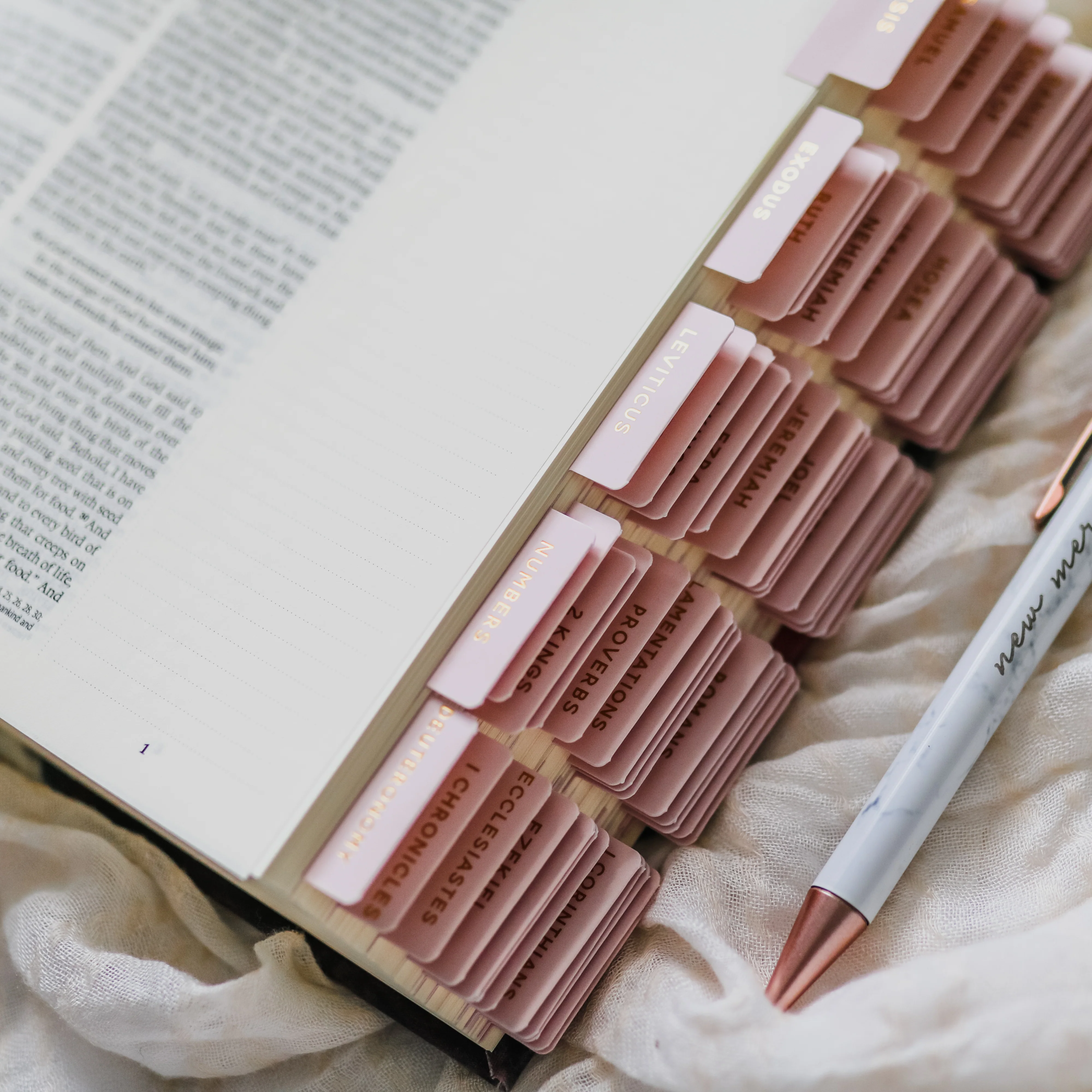 Blush Bible Tabs - Image 3