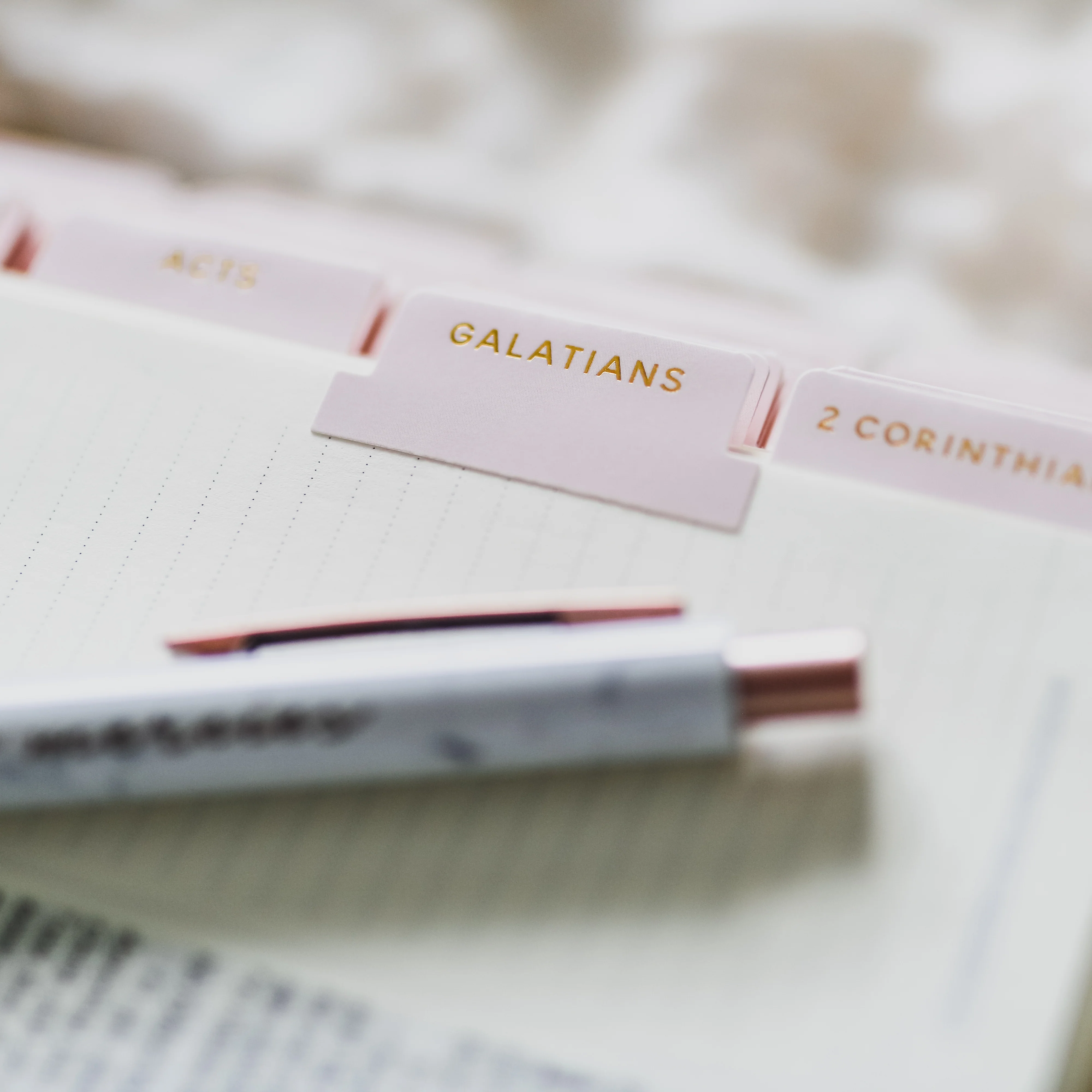 Blush Bible Tabs - Image 4