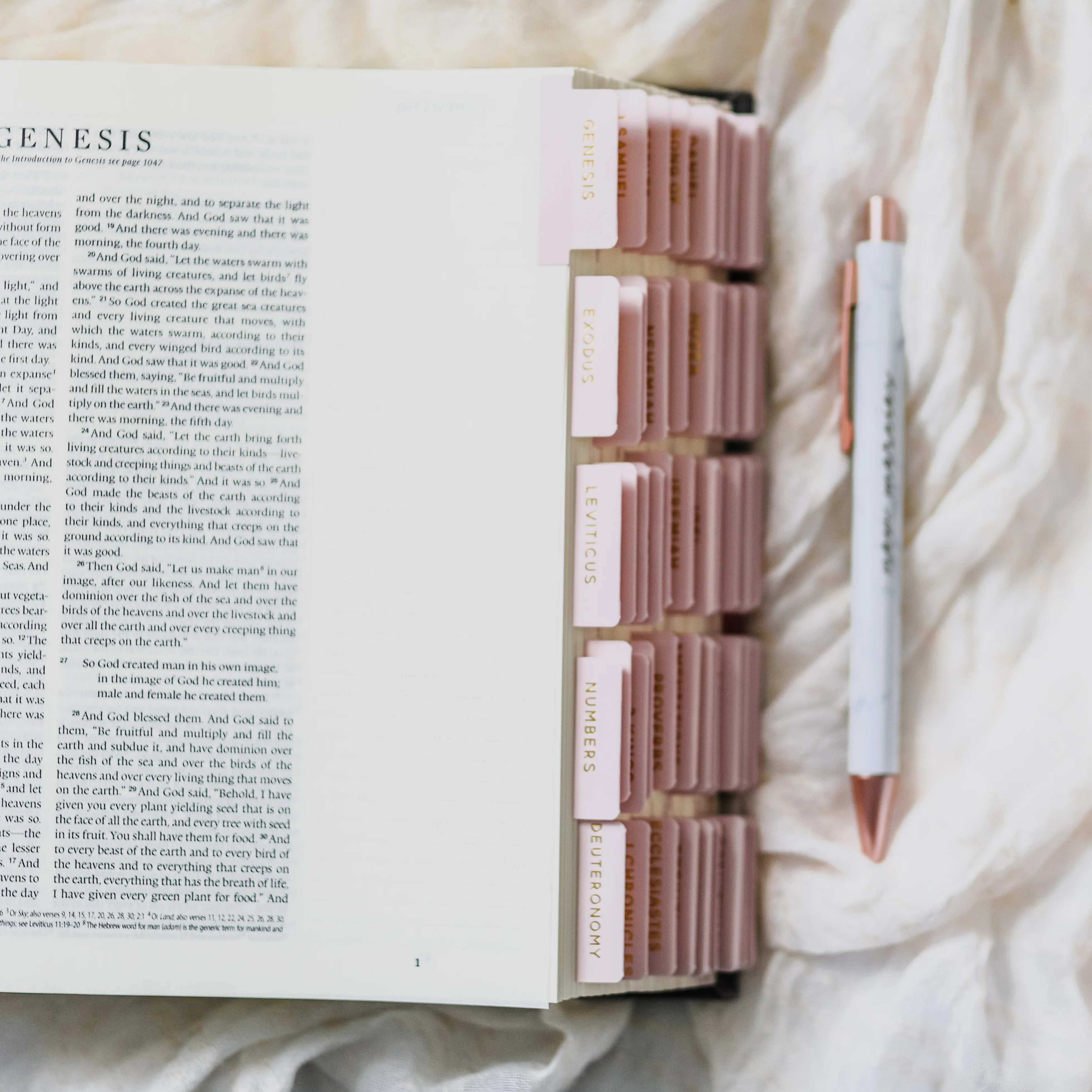 Blush Bible Tabs - Image 5