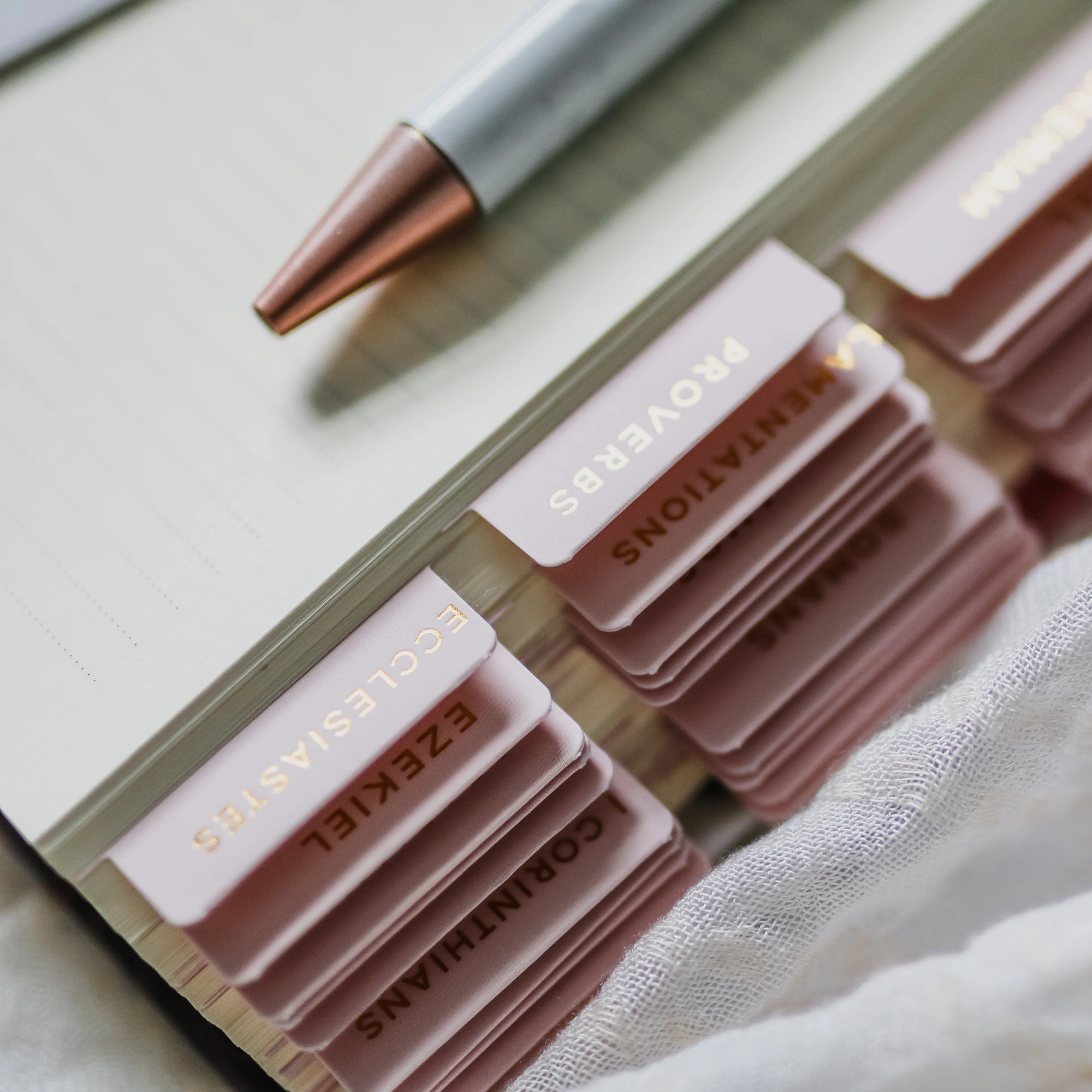 Blush Bible Tabs - Image 6