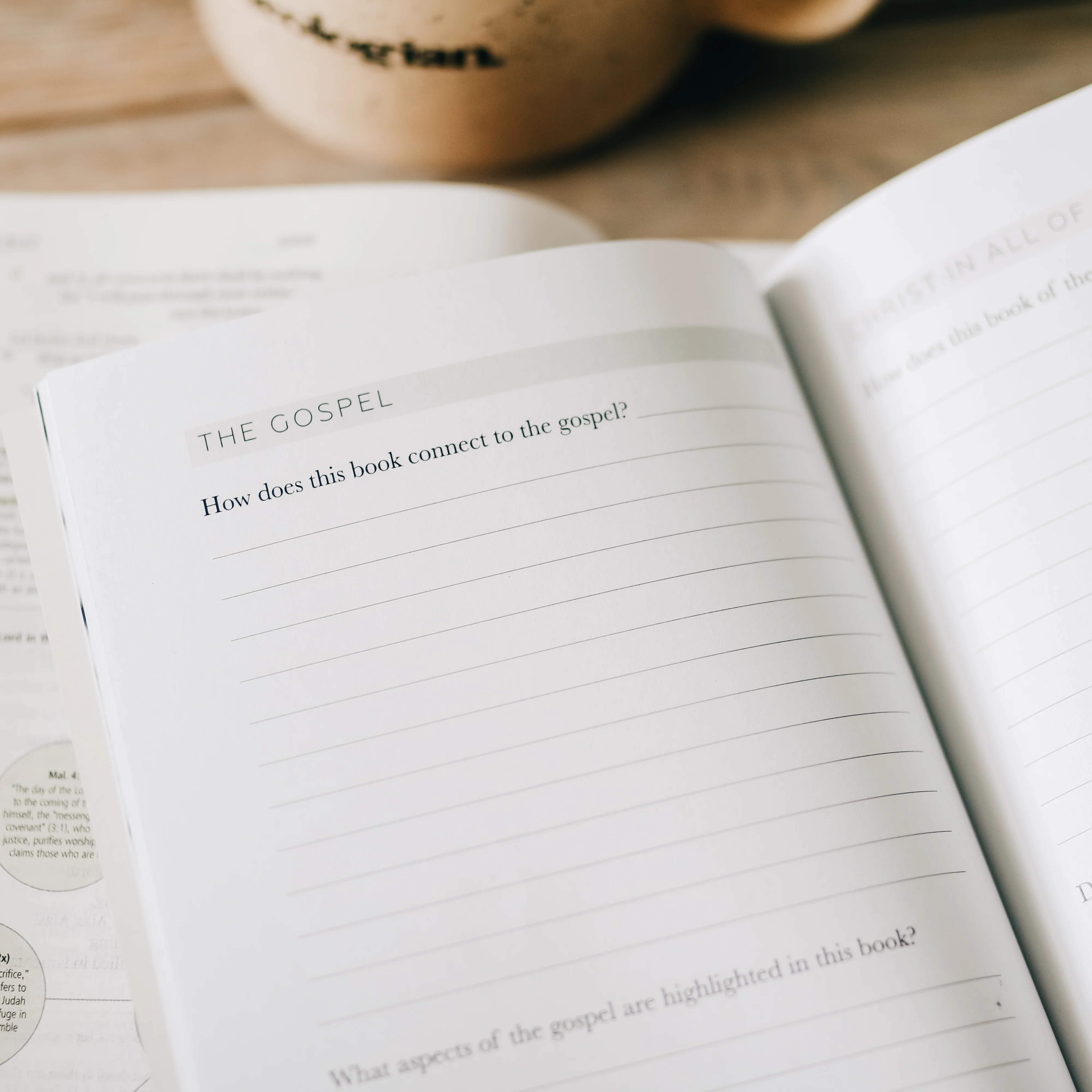 Book by Book | A Bible Study Companion - Image 3