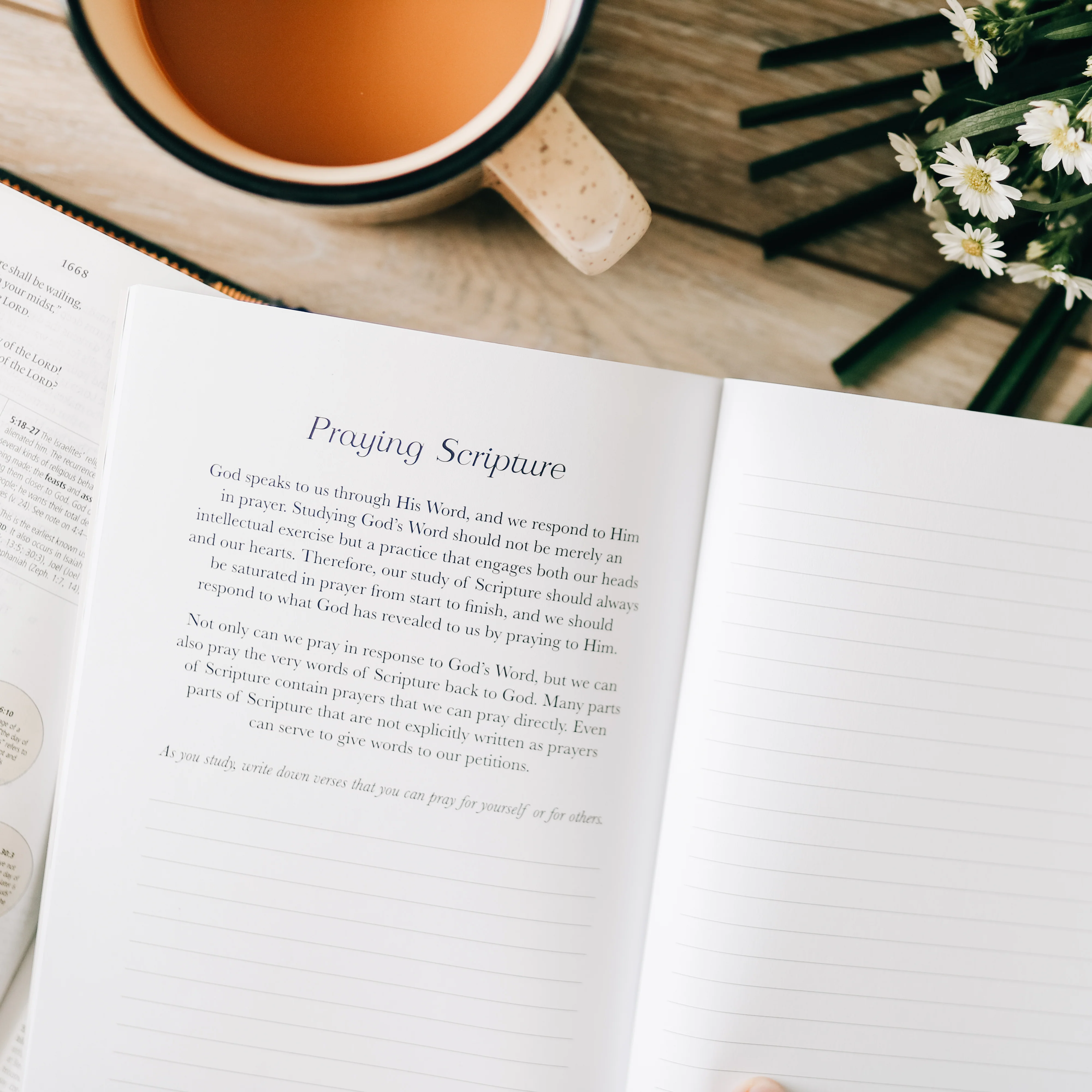 Book by Book | A Bible Study Companion - Image 4
