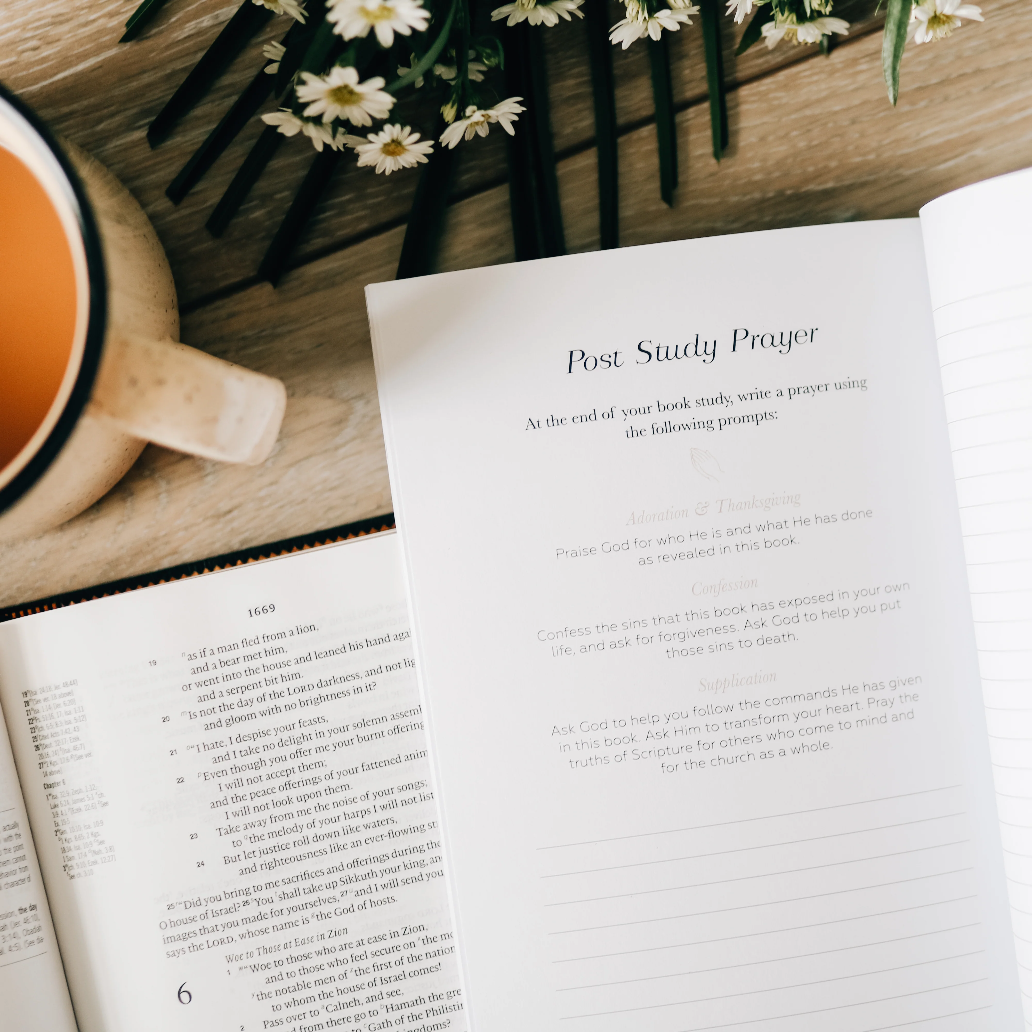 Book by Book | A Bible Study Companion - Image 5