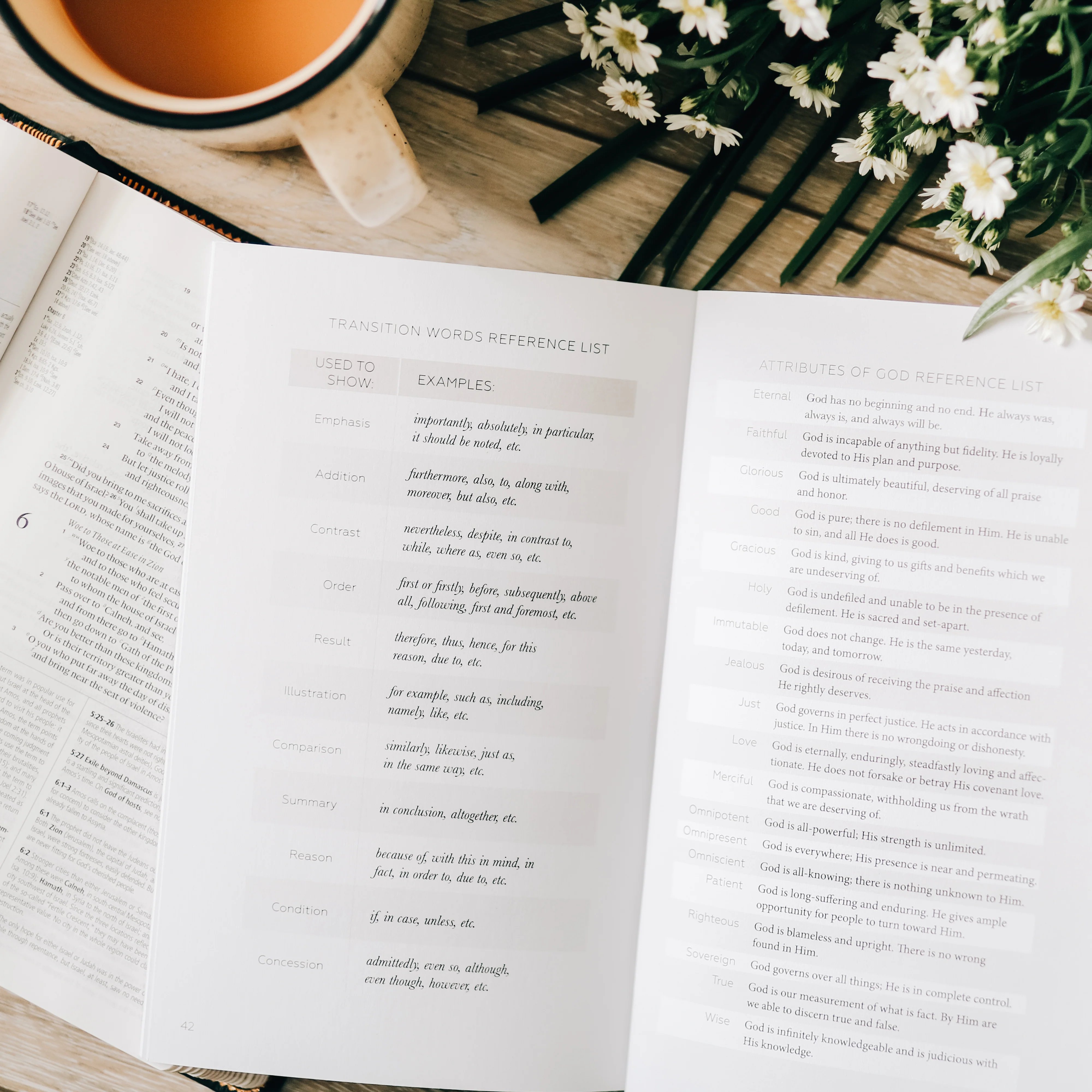 Book by Book | A Bible Study Companion - Image 6