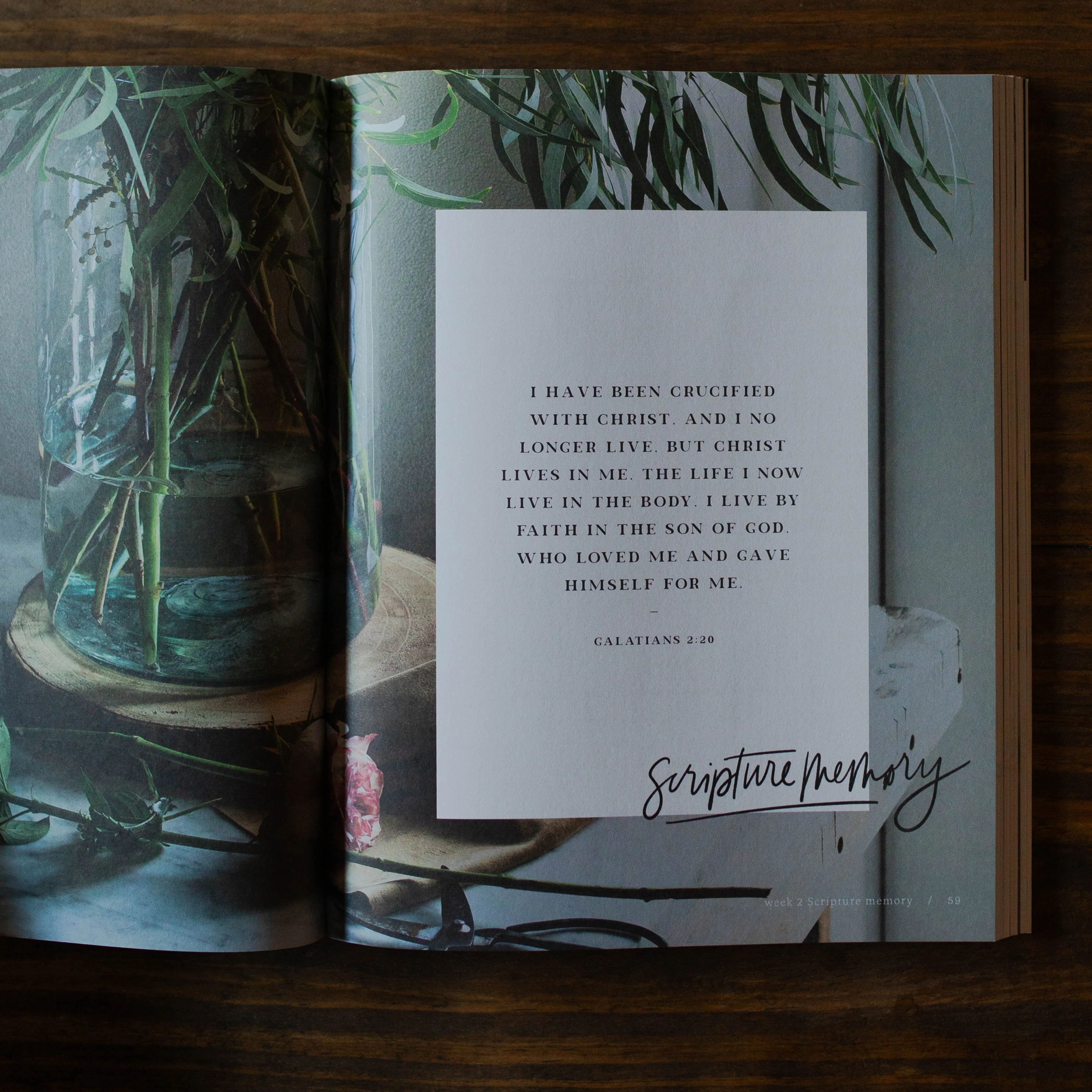 By Faith | Galatians Study - Image 5