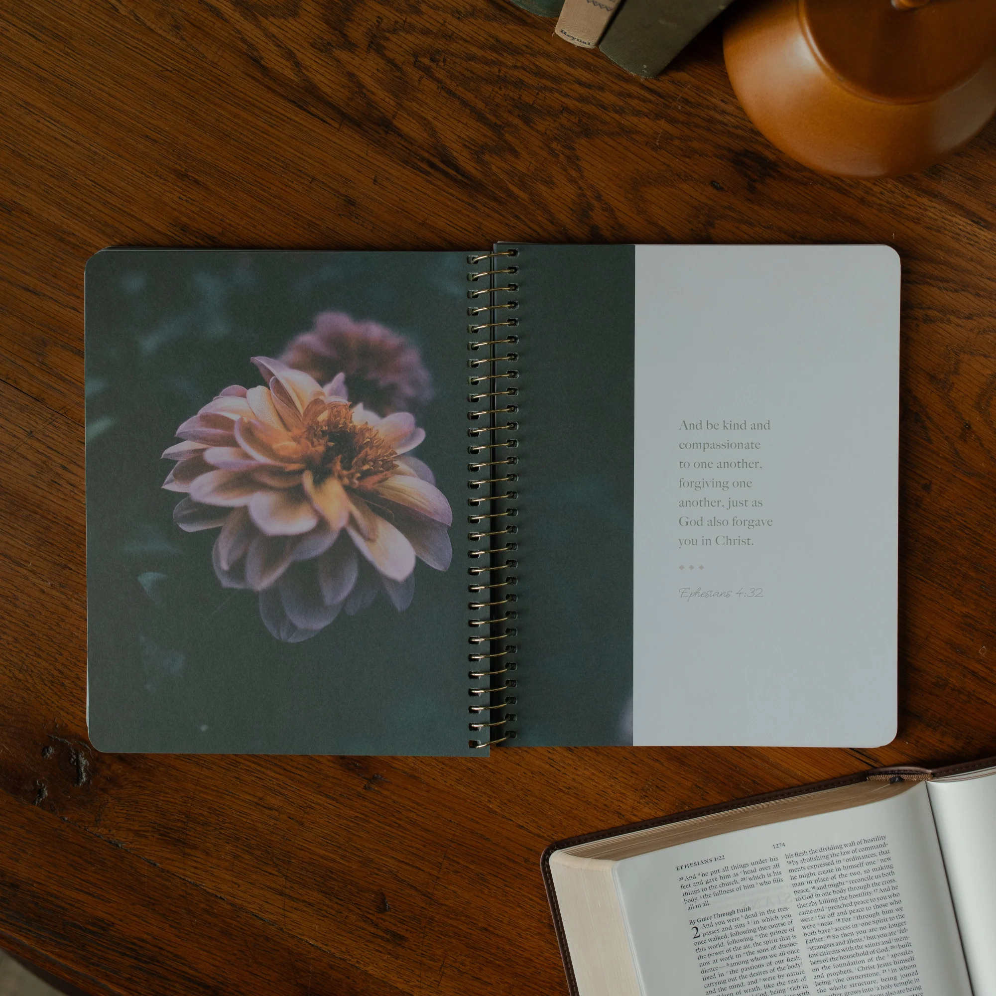 Chosen | Ephesians Bible Study - Image 4