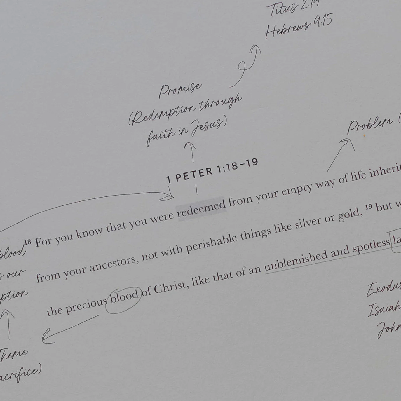 Christ in All of Scripture | 4 Volume Set | Year-Long Bible Study - Image 12