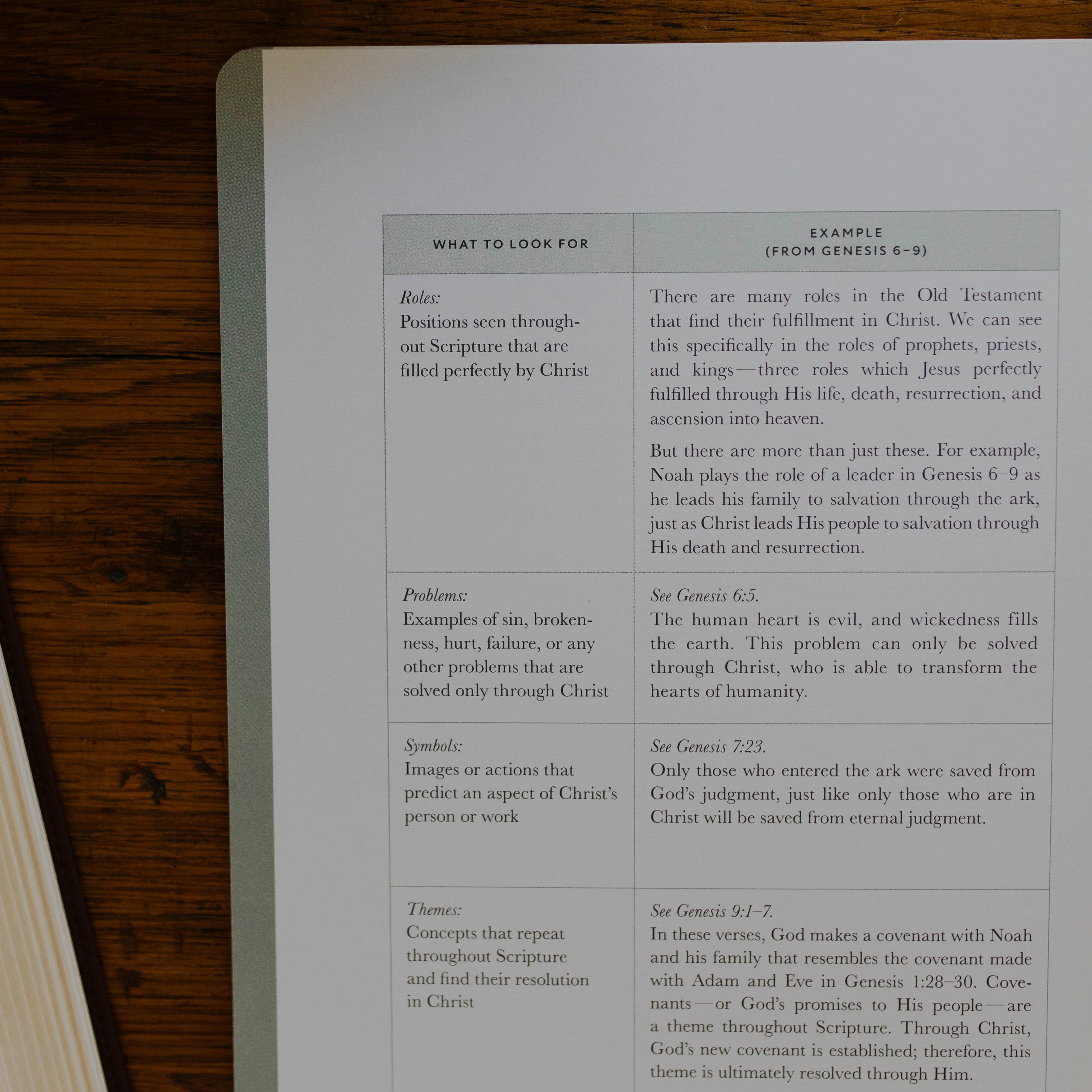 Christ in All of Scripture | Volume 1 - Image 13