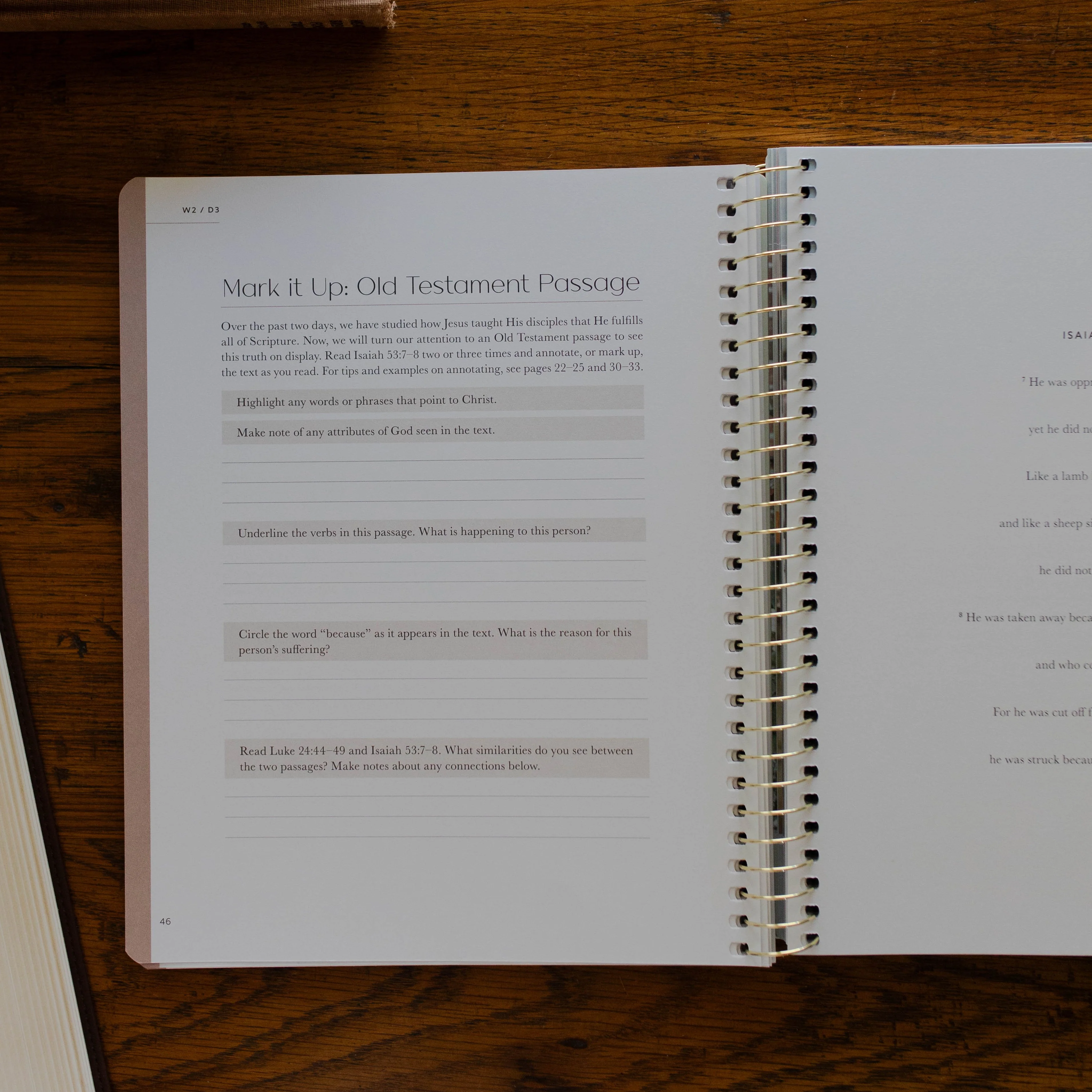 Christ in All of Scripture | Volume 1 - Image 10