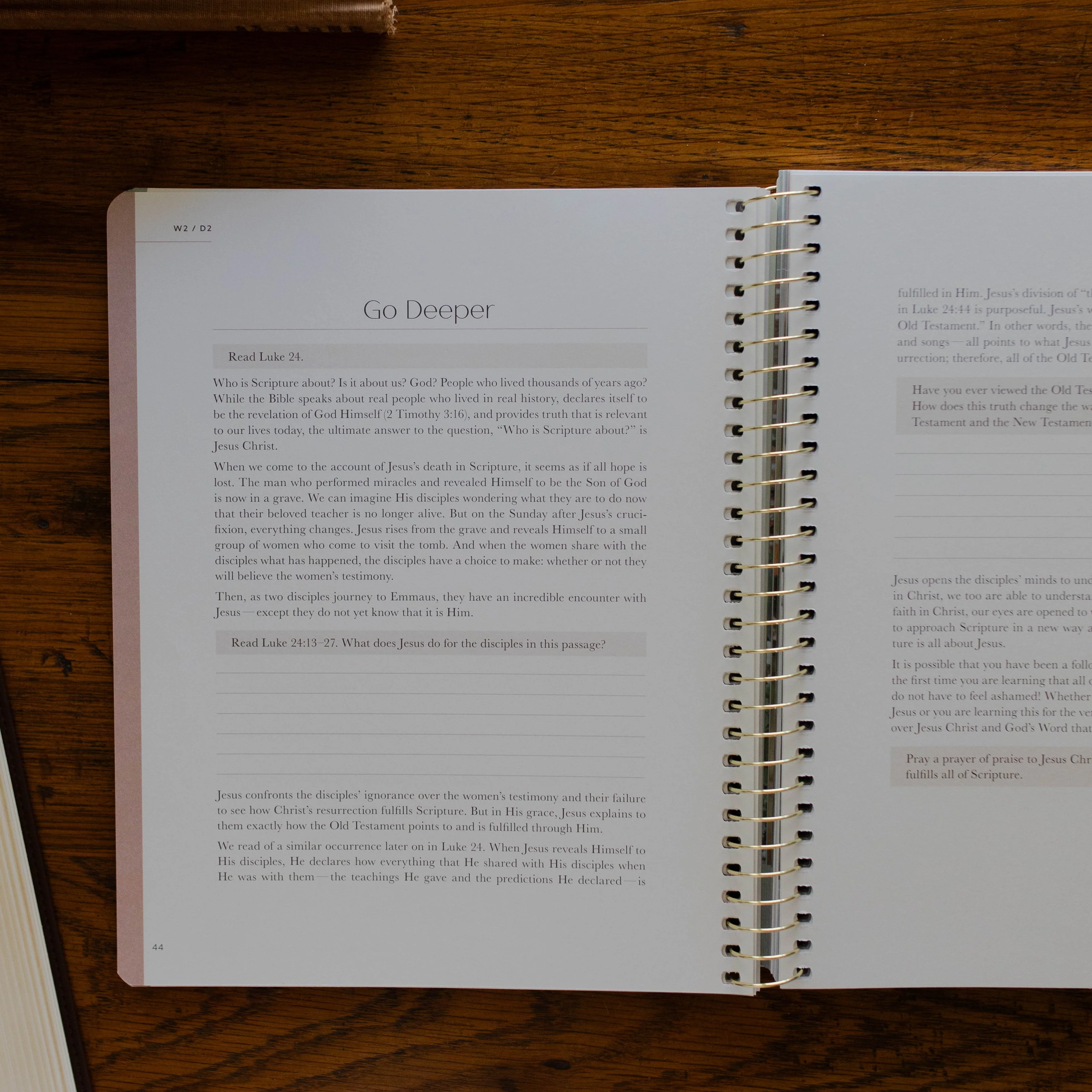 Christ in All of Scripture | Volume 1 - Image 11