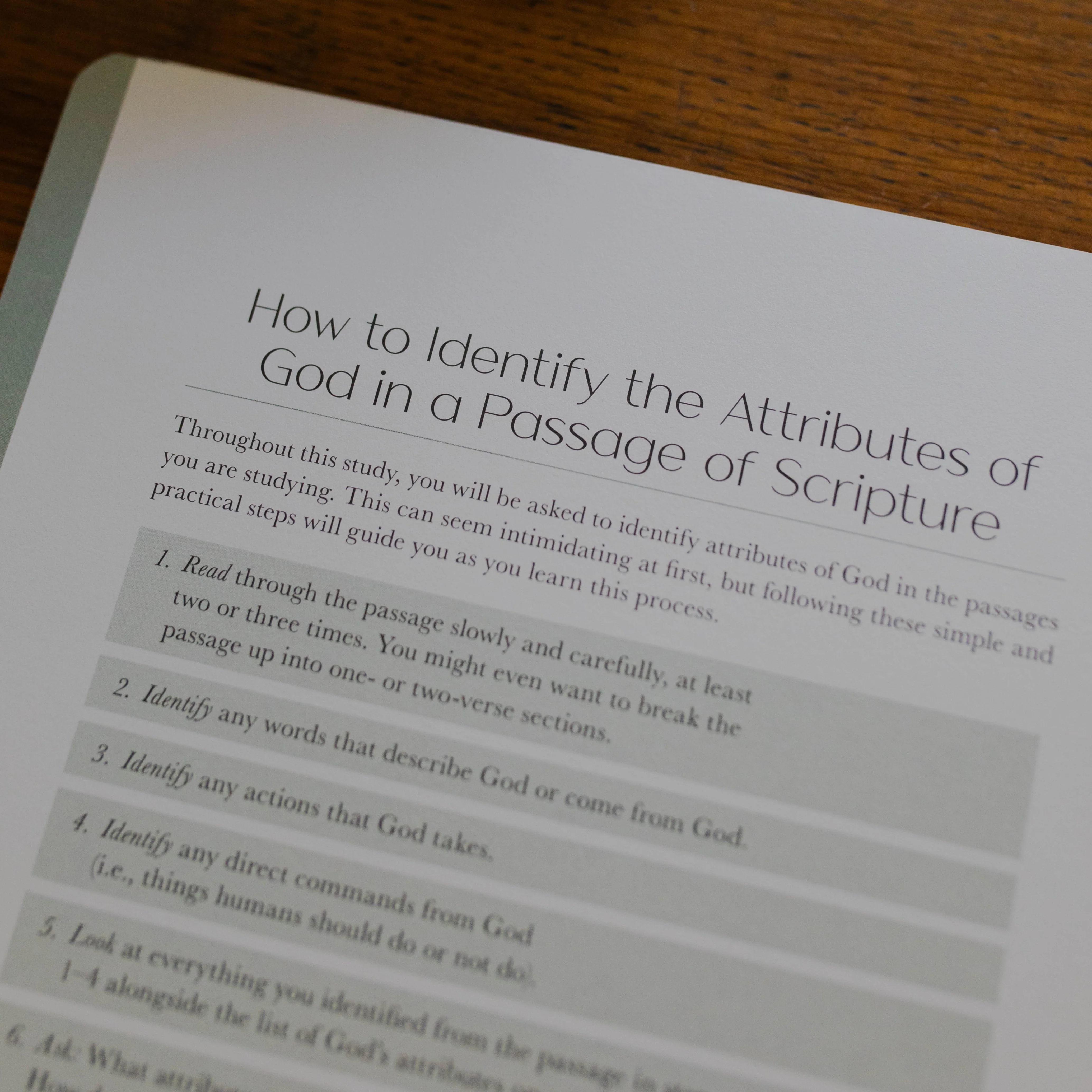 Christ in All of Scripture | Volume 1 - Image 3
