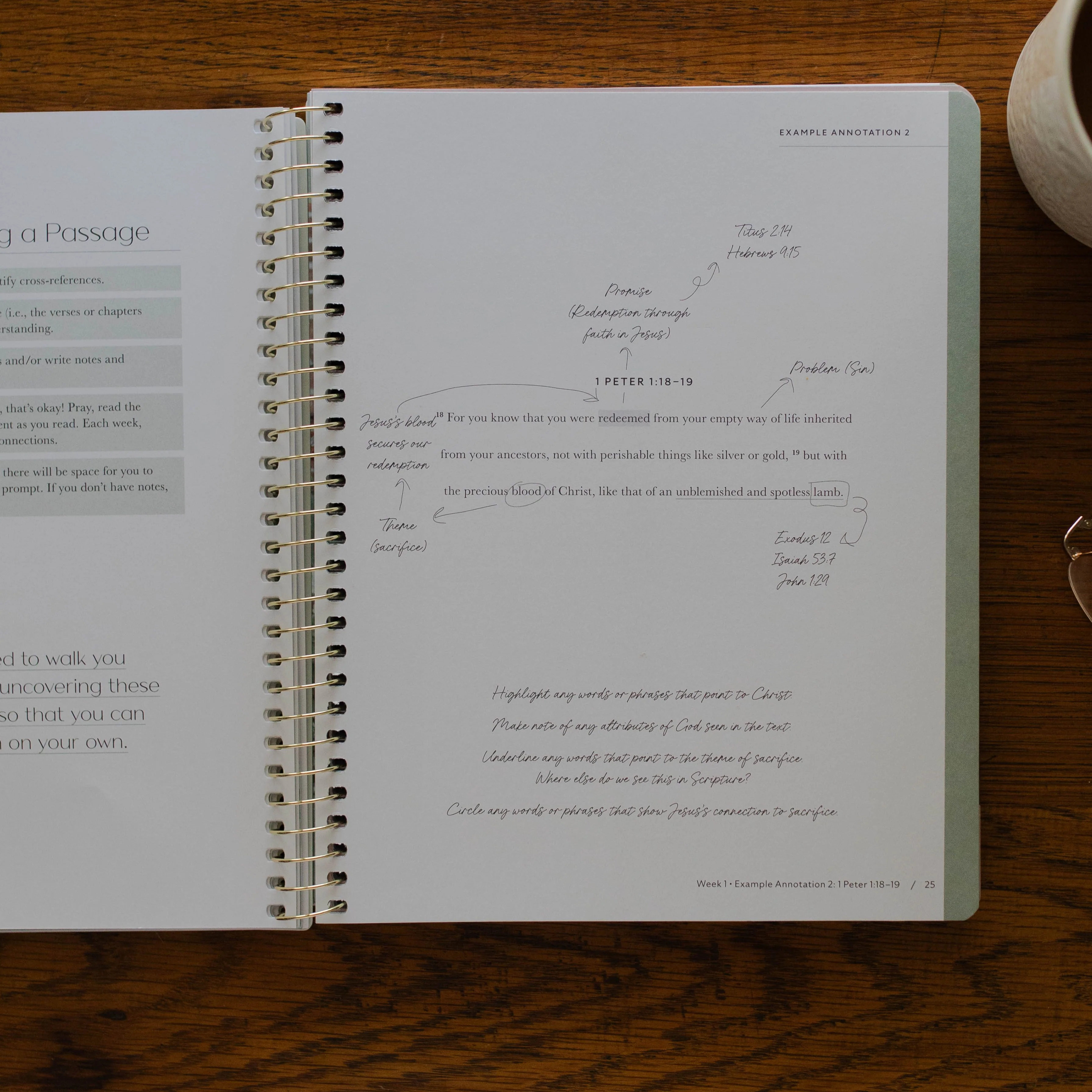 Christ in All of Scripture | Volume 1 - Image 4