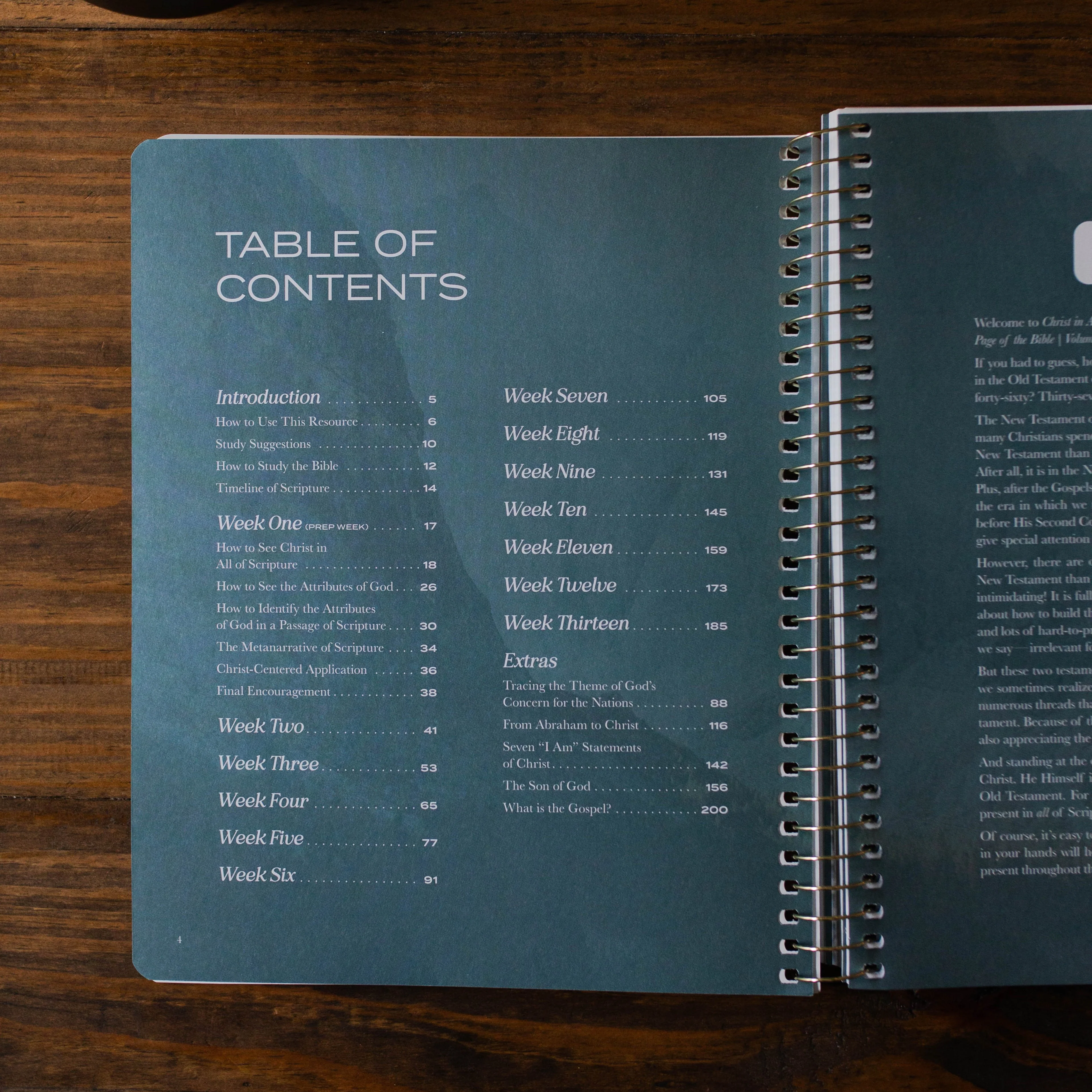 Christ in All of Scripture | Volume 1 - Men - Image 2