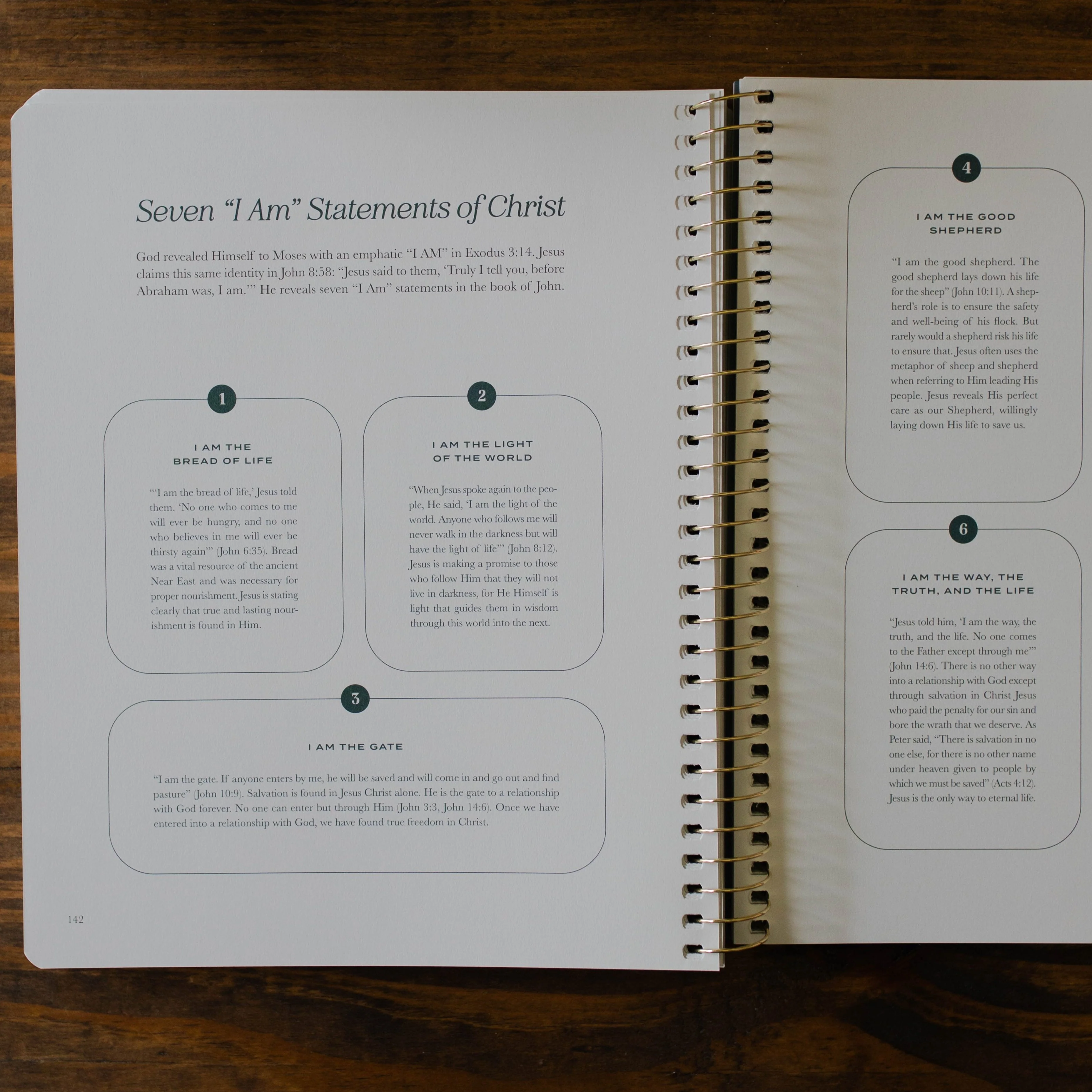 Christ in All of Scripture | Volume 1 - Men - Image 3