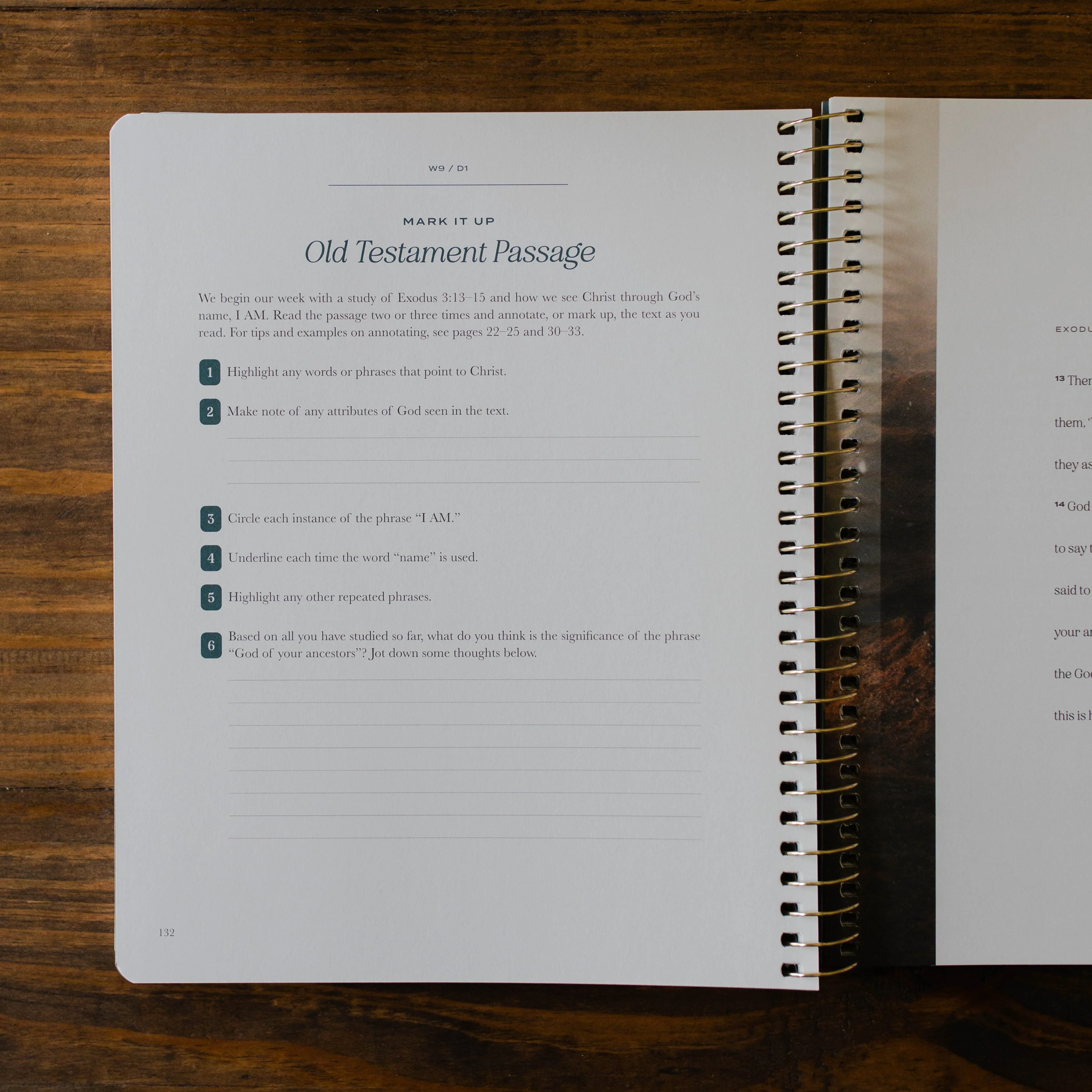 Christ in All of Scripture | Volume 1 - Men - Image 5