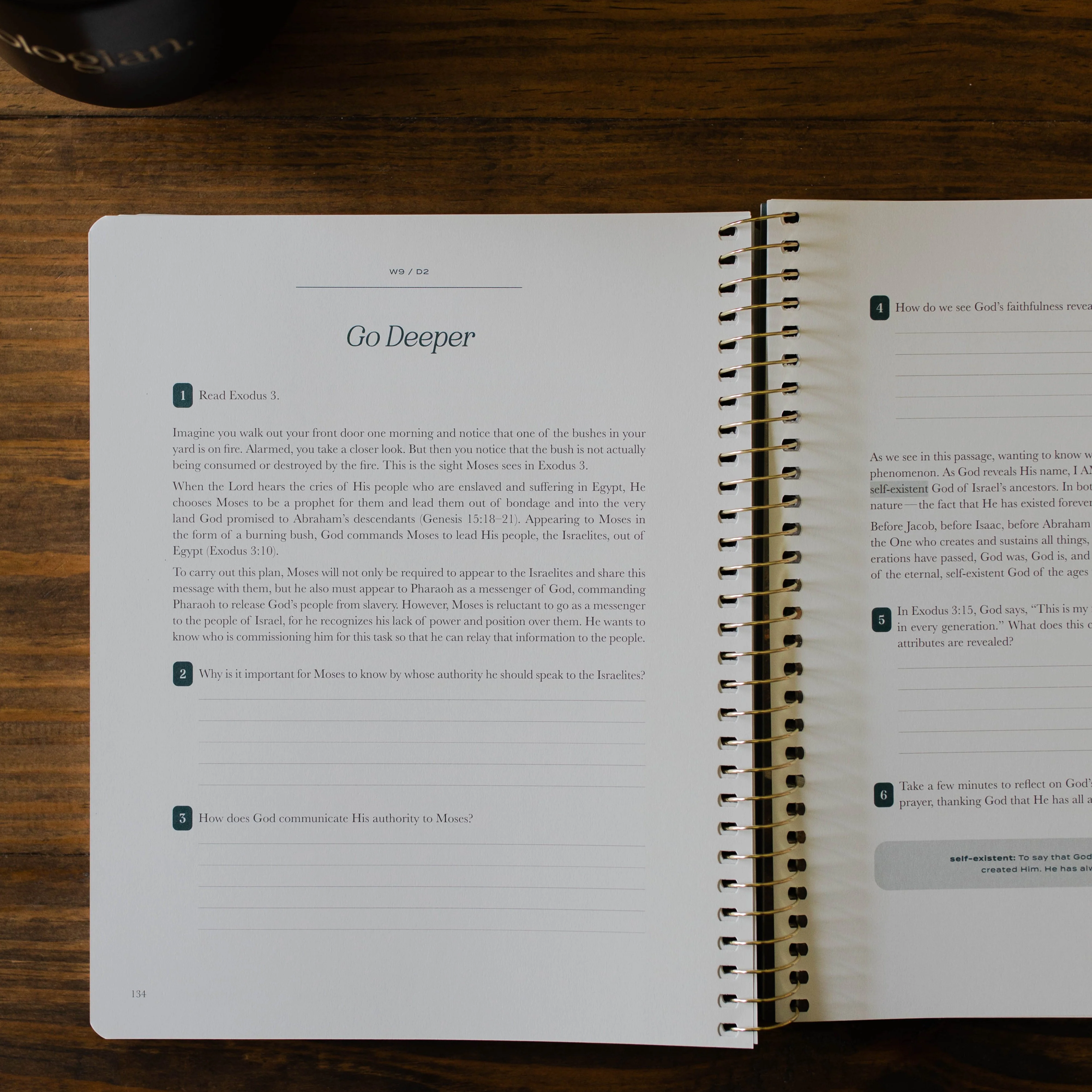 Christ in All of Scripture | Volume 1 - Men - Image 6