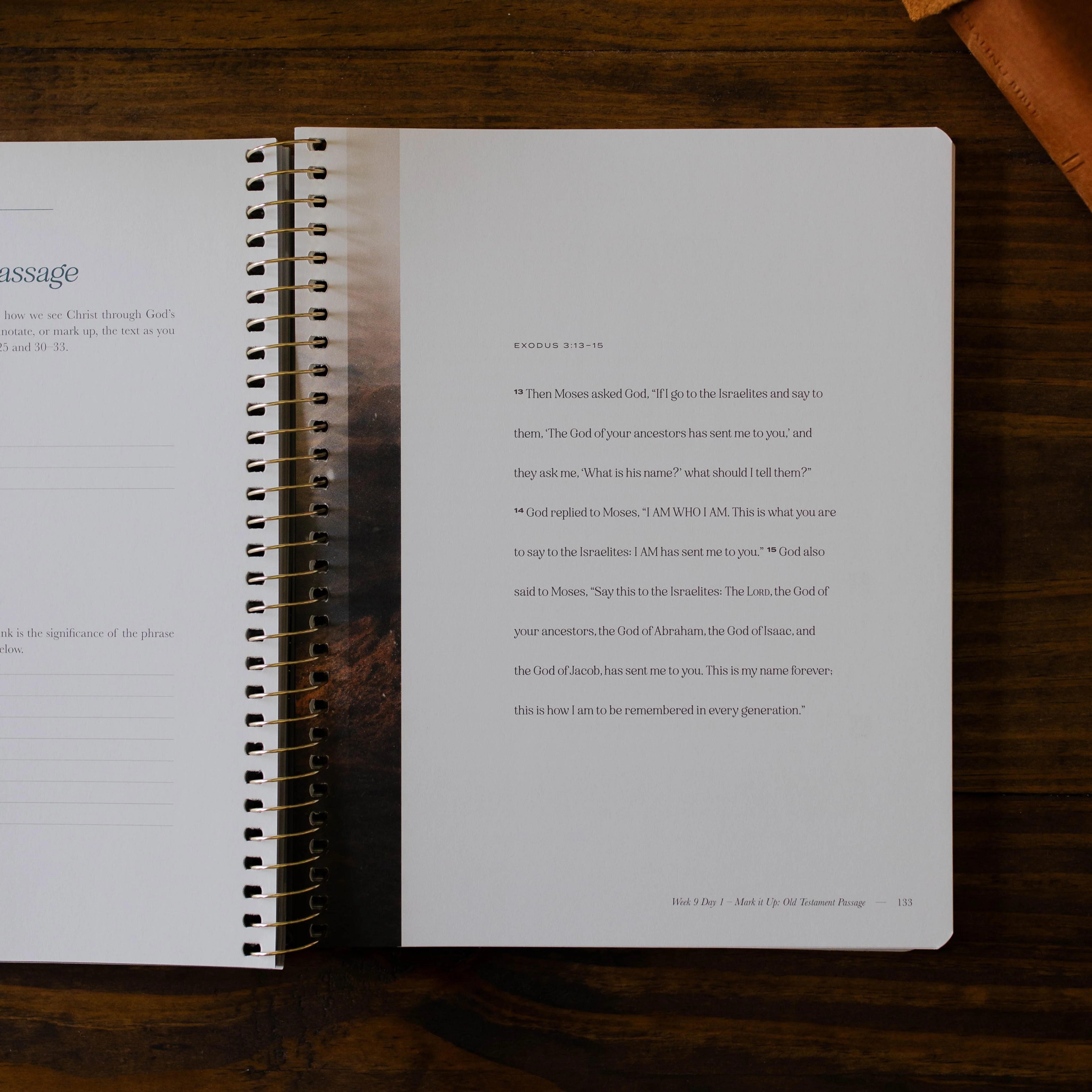 Christ in All of Scripture | Volume 1 - Men - Image 8