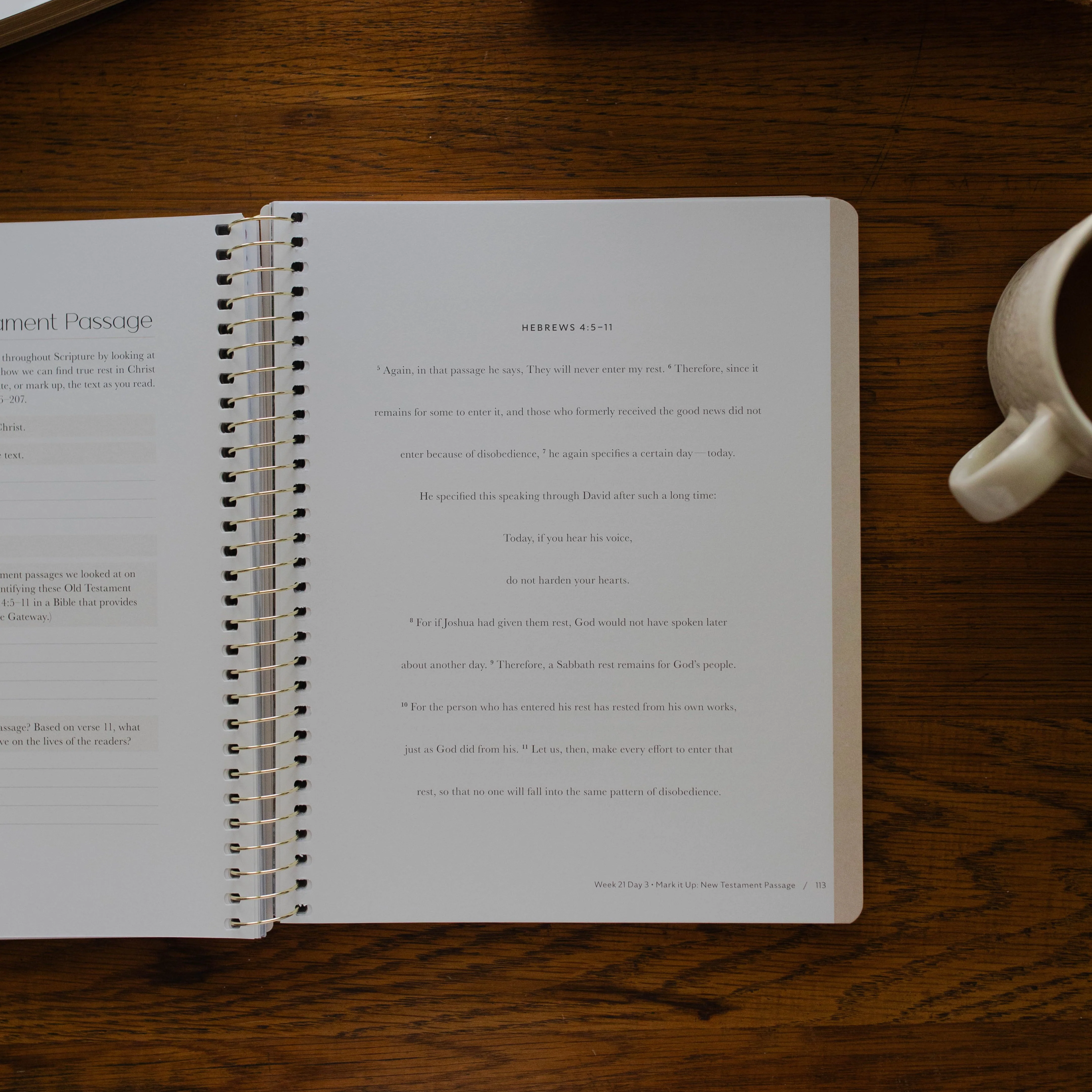 Christ in All of Scripture | Volume 2 - Image 13