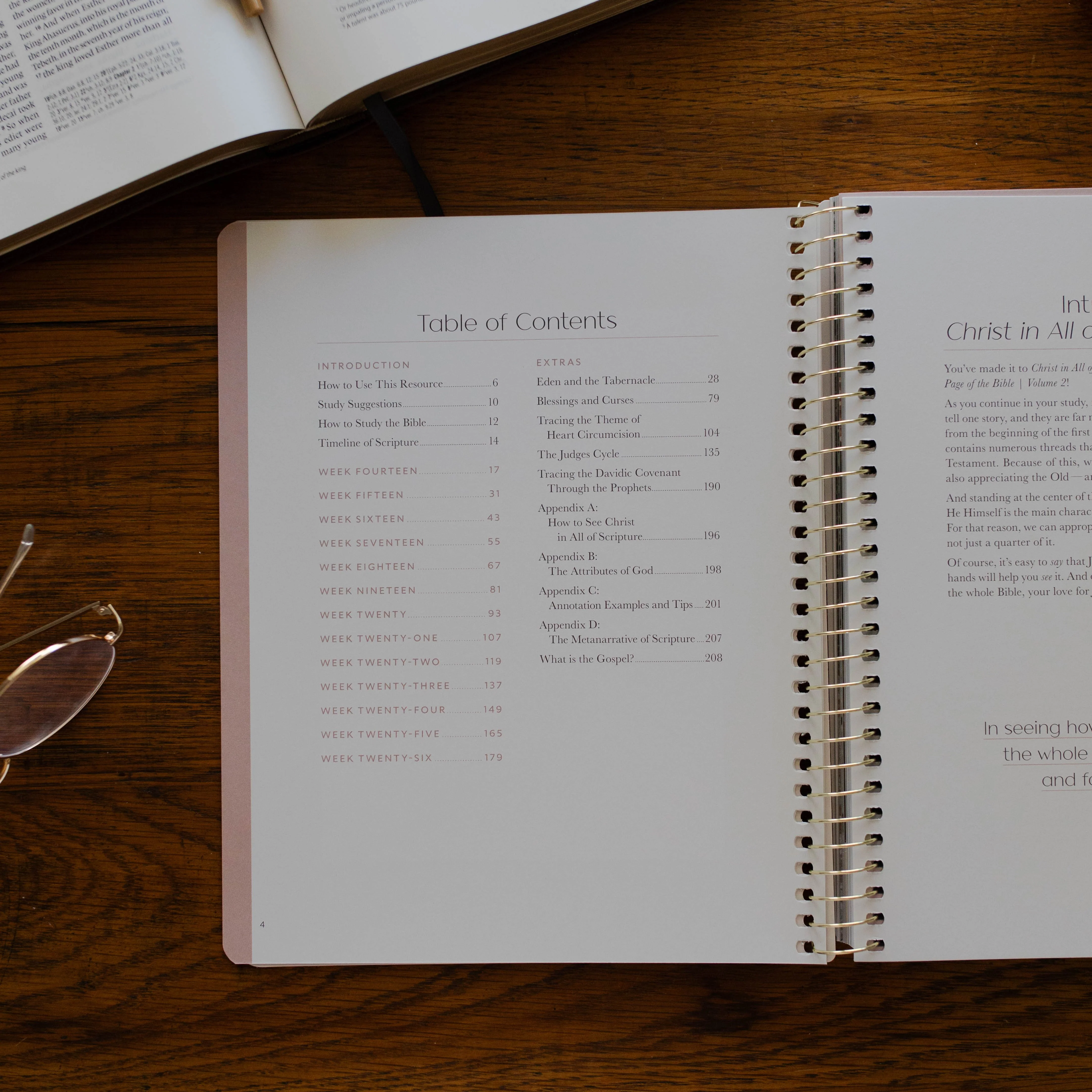 Christ in All of Scripture | Volume 2 - Image 3