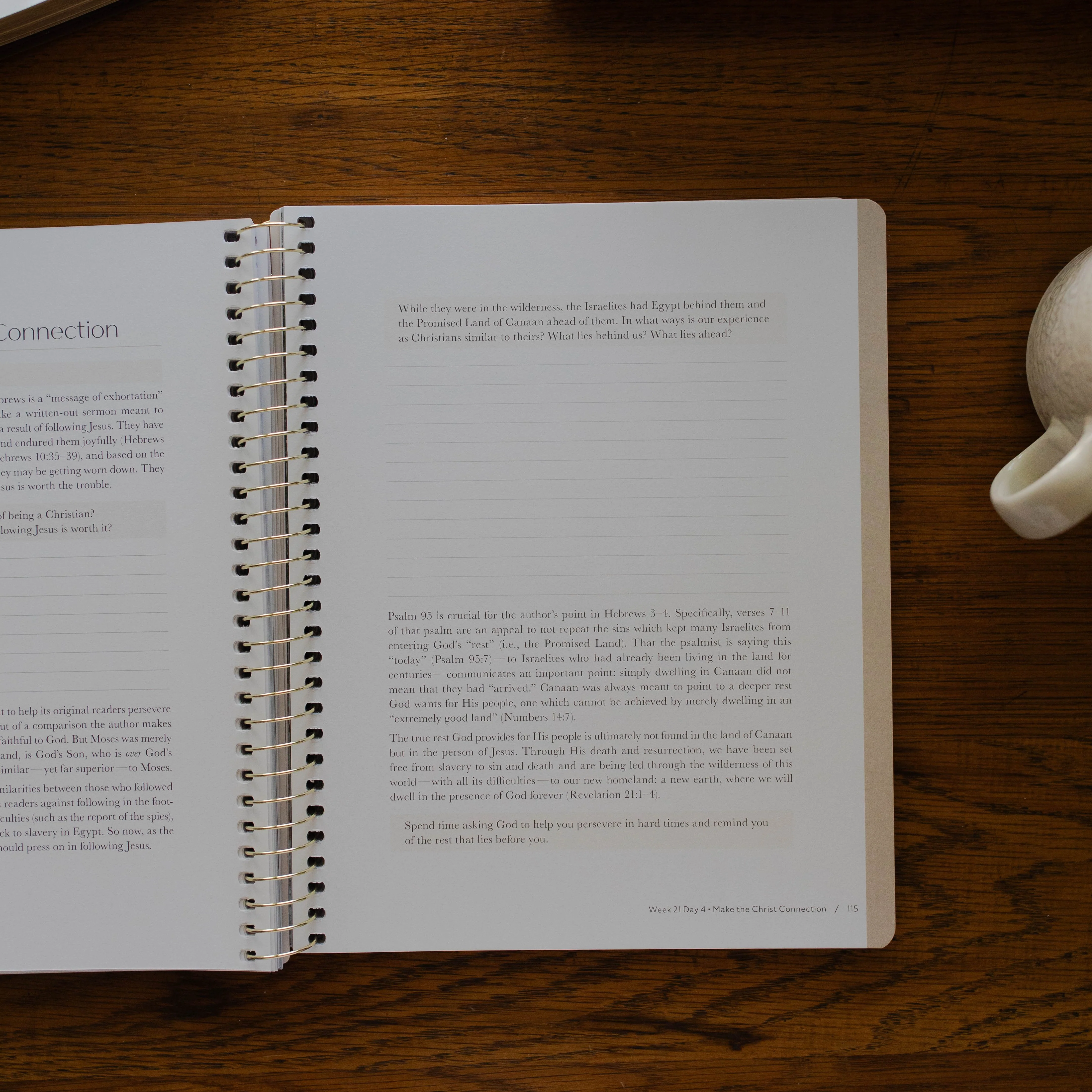 Christ in All of Scripture | Volume 2 - Image 5