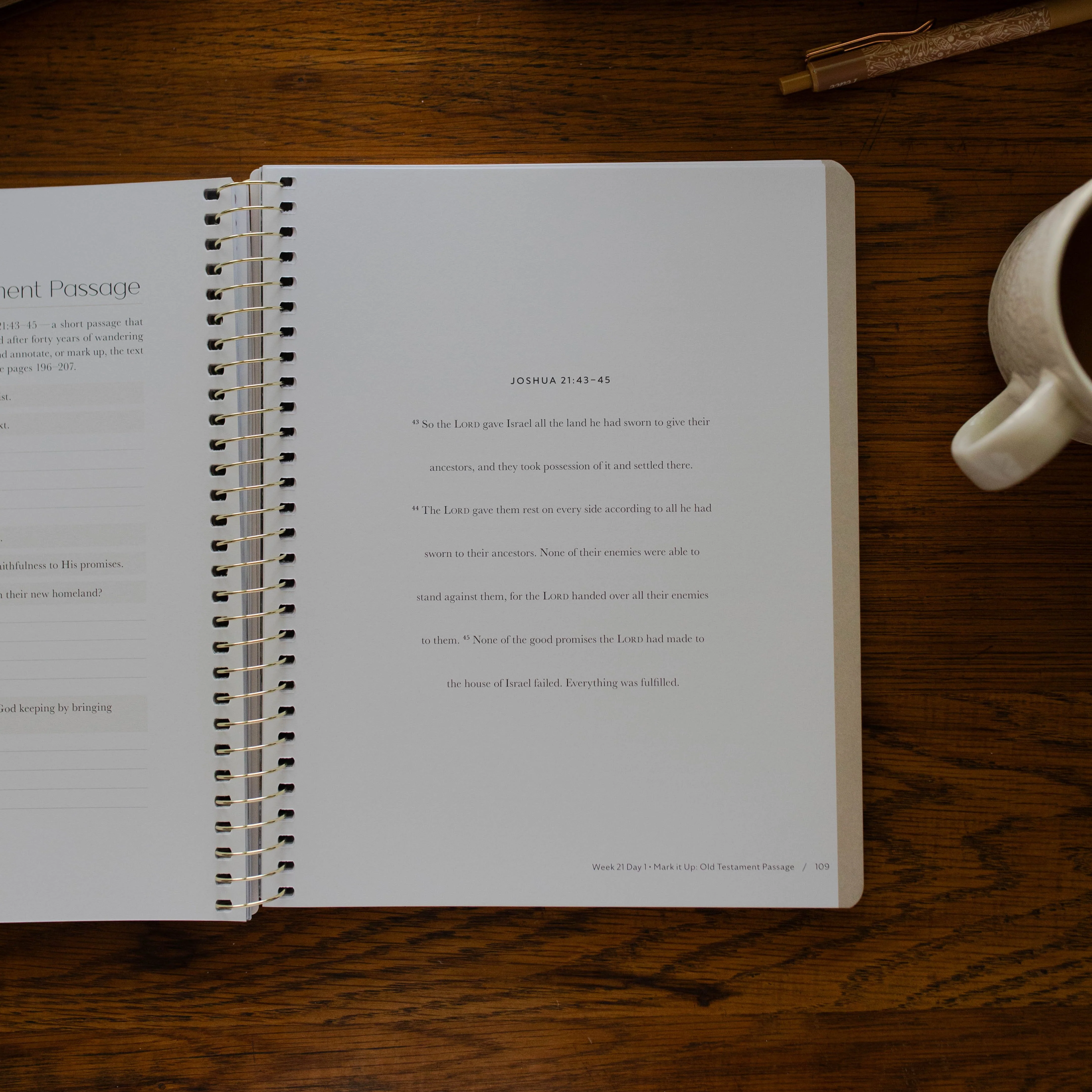 Christ in All of Scripture | Volume 2 - Image 6