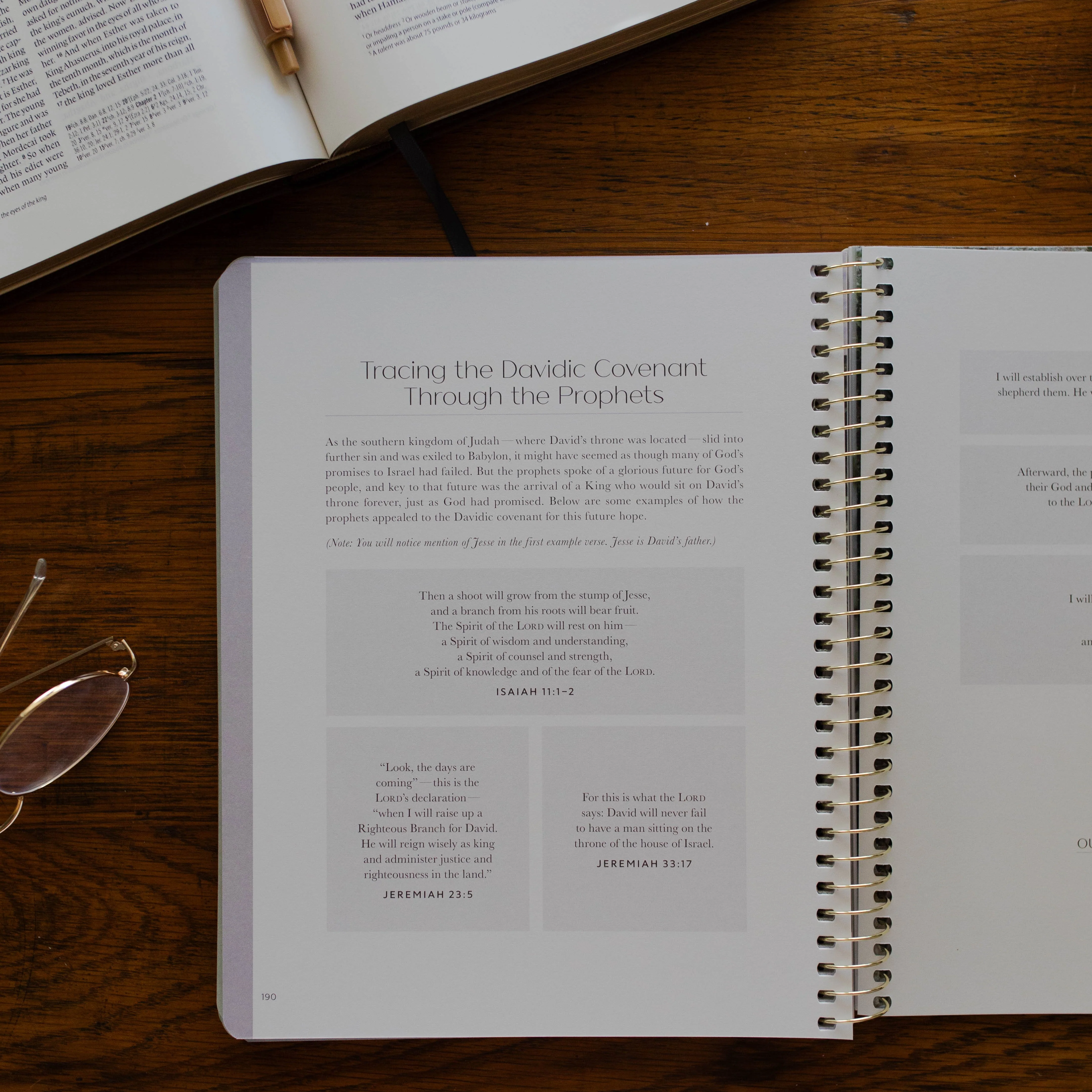 Christ in All of Scripture | Volume 2 - Image 7