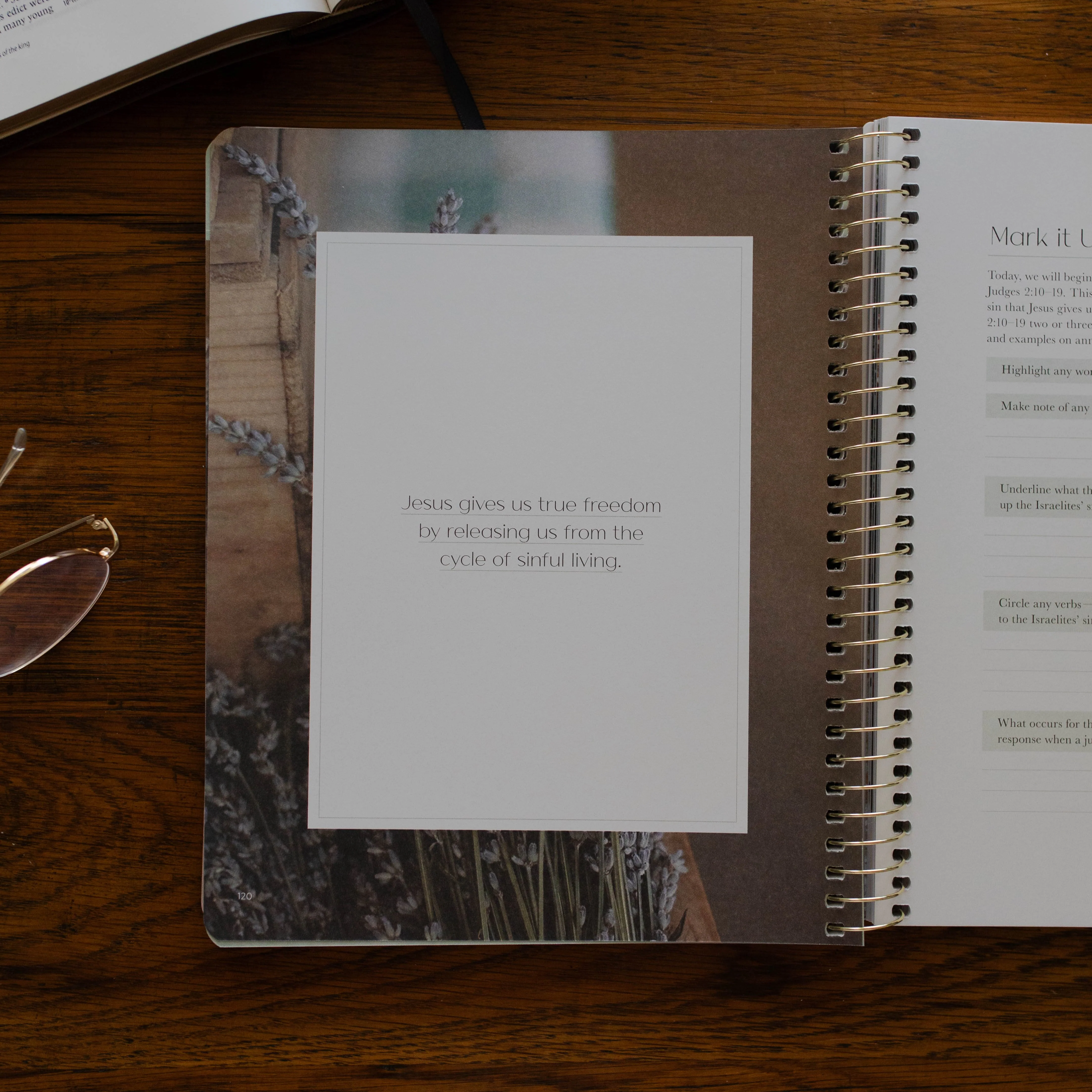 Christ in All of Scripture | Volume 2 - Image 8