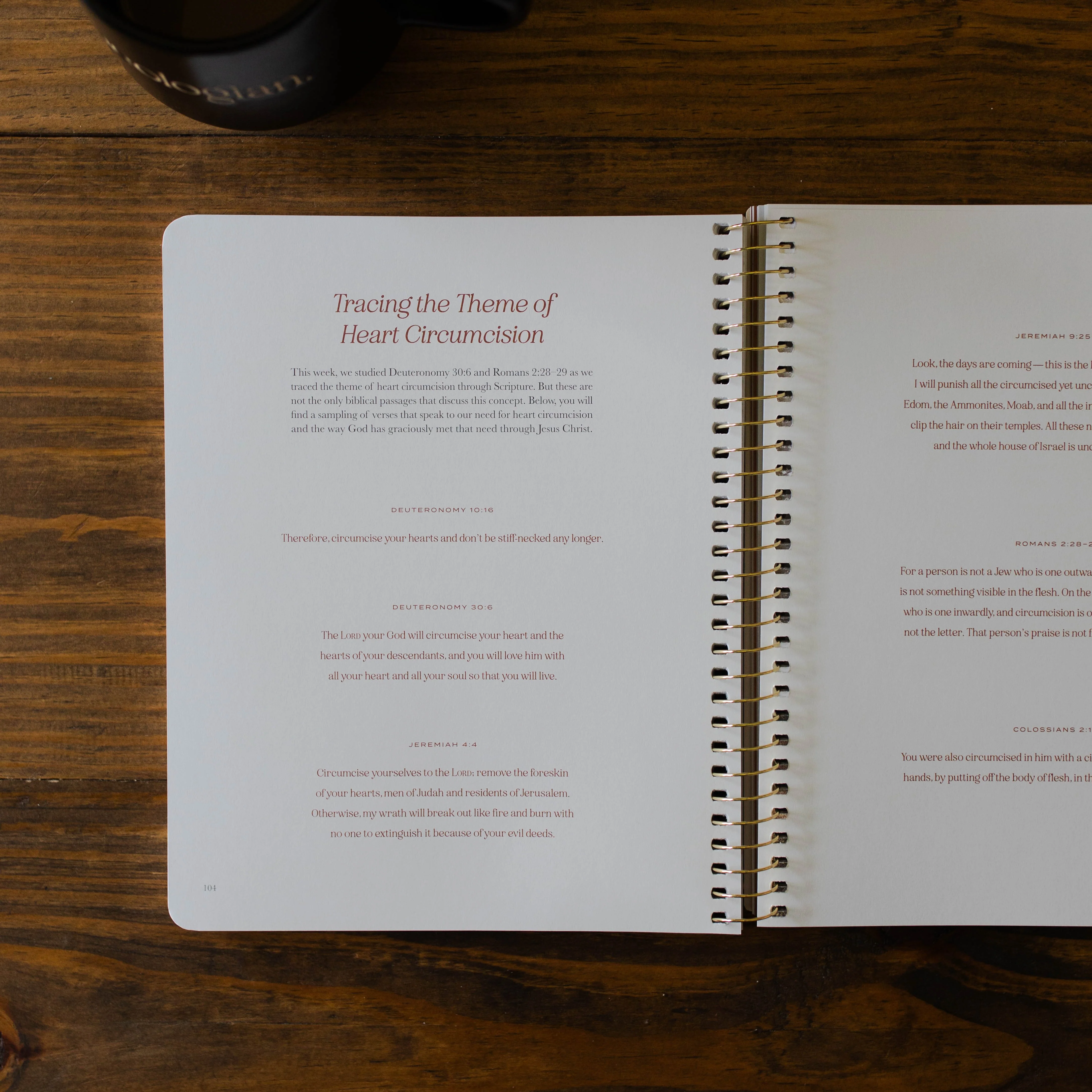 Christ in All of Scripture | Volume 2 - Men - Image 3