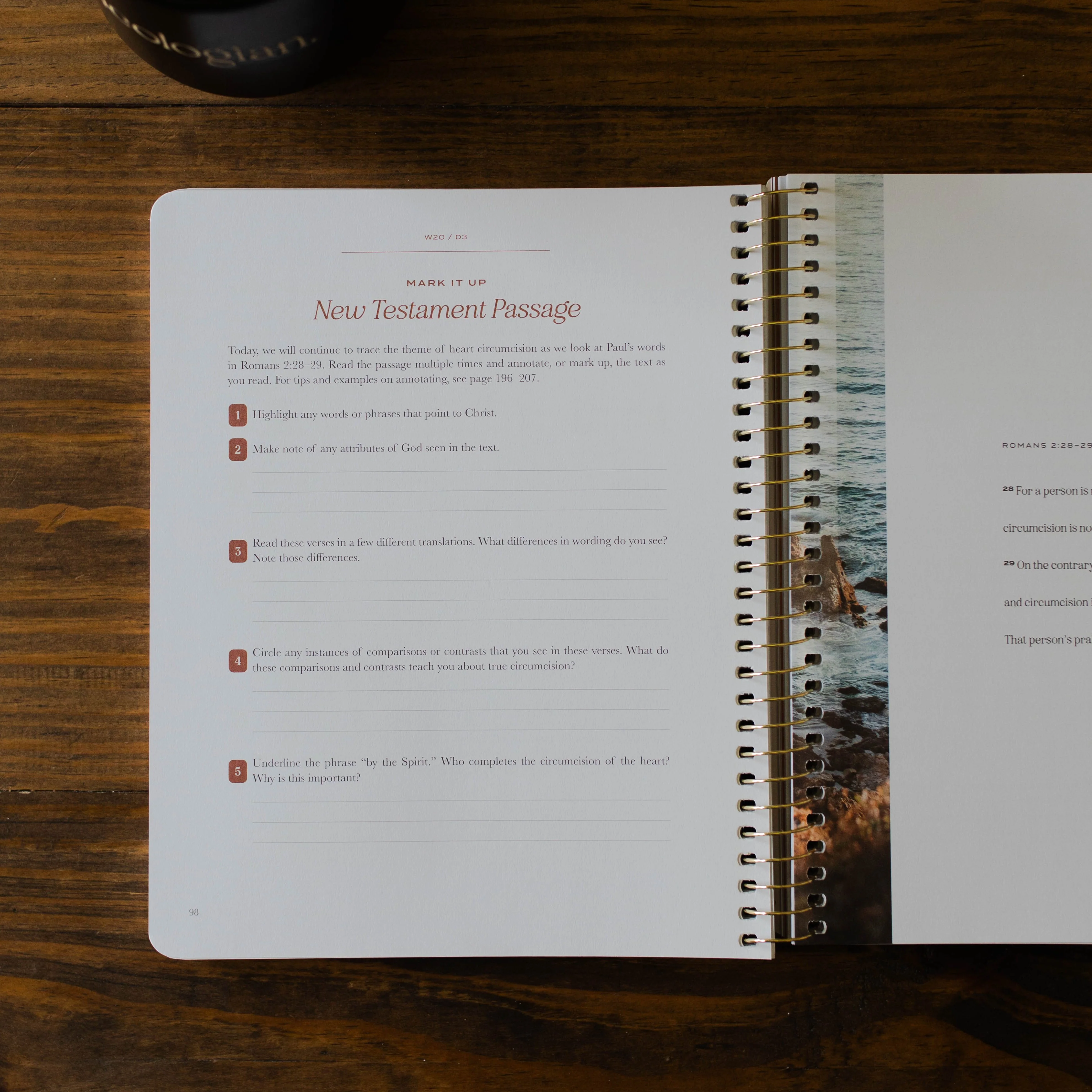 Christ in All of Scripture | Volume 2 - Men - Image 4