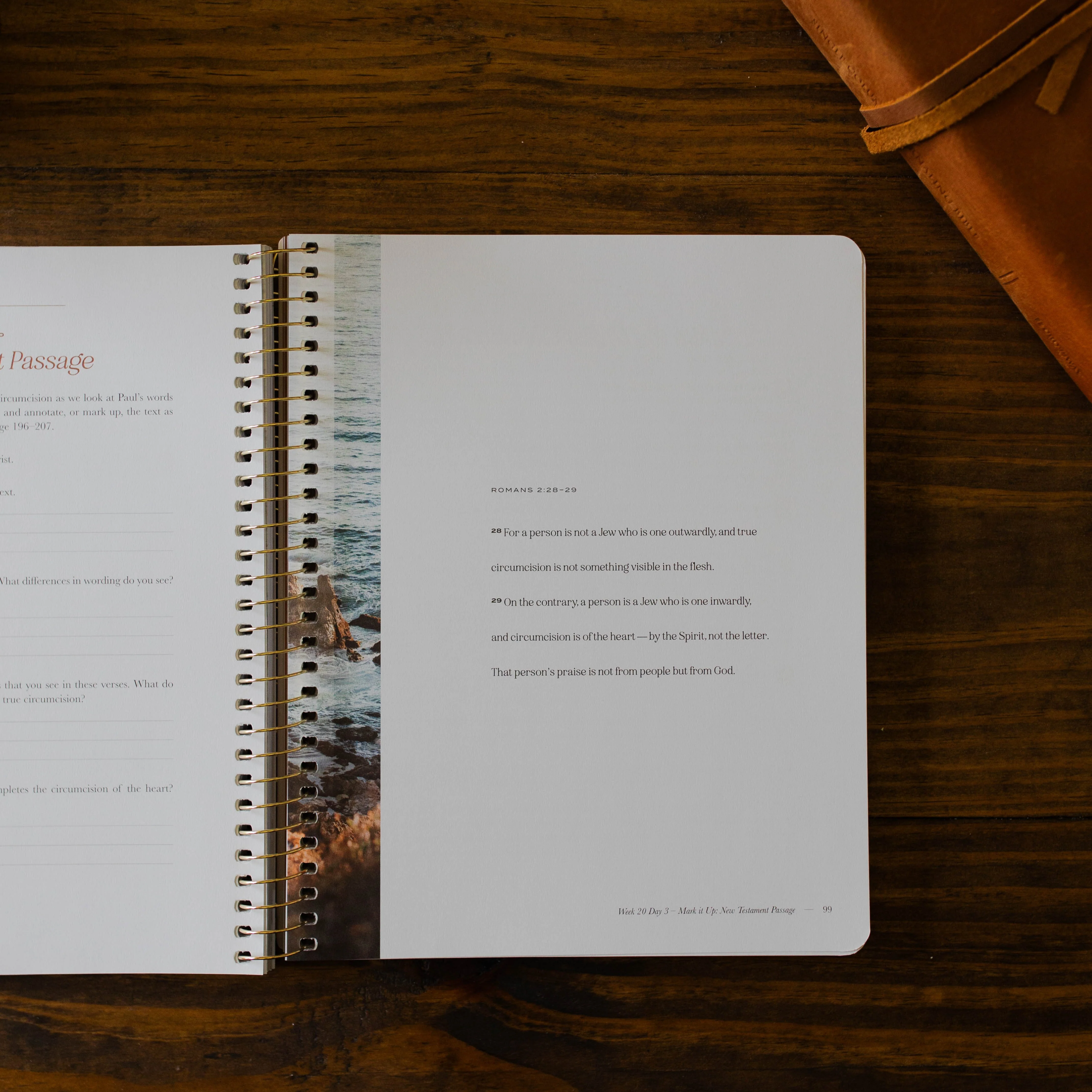 Christ in All of Scripture | Volume 2 - Men - Image 5